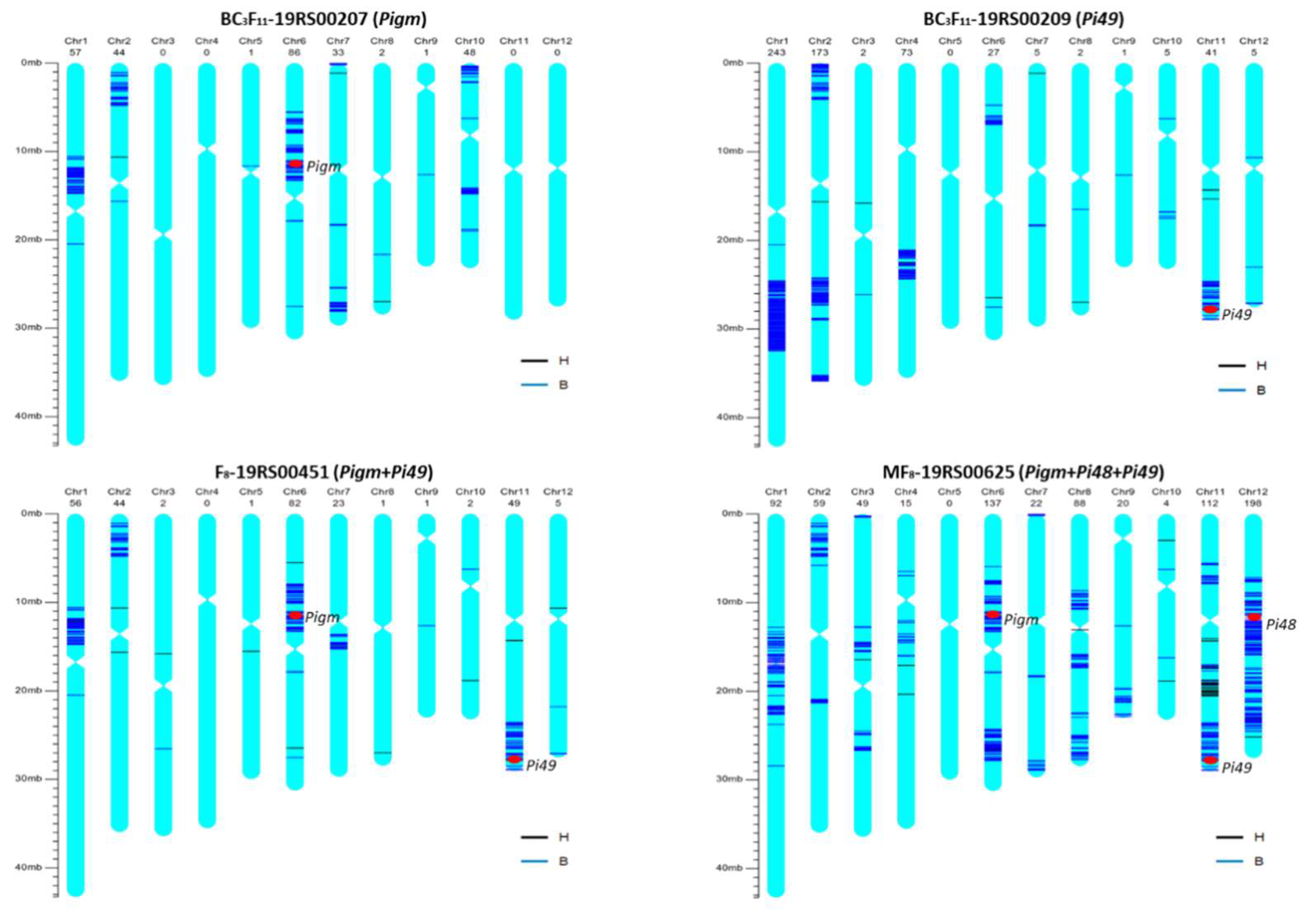 Plants 12 01389 g004 Plants 12 01389 g004