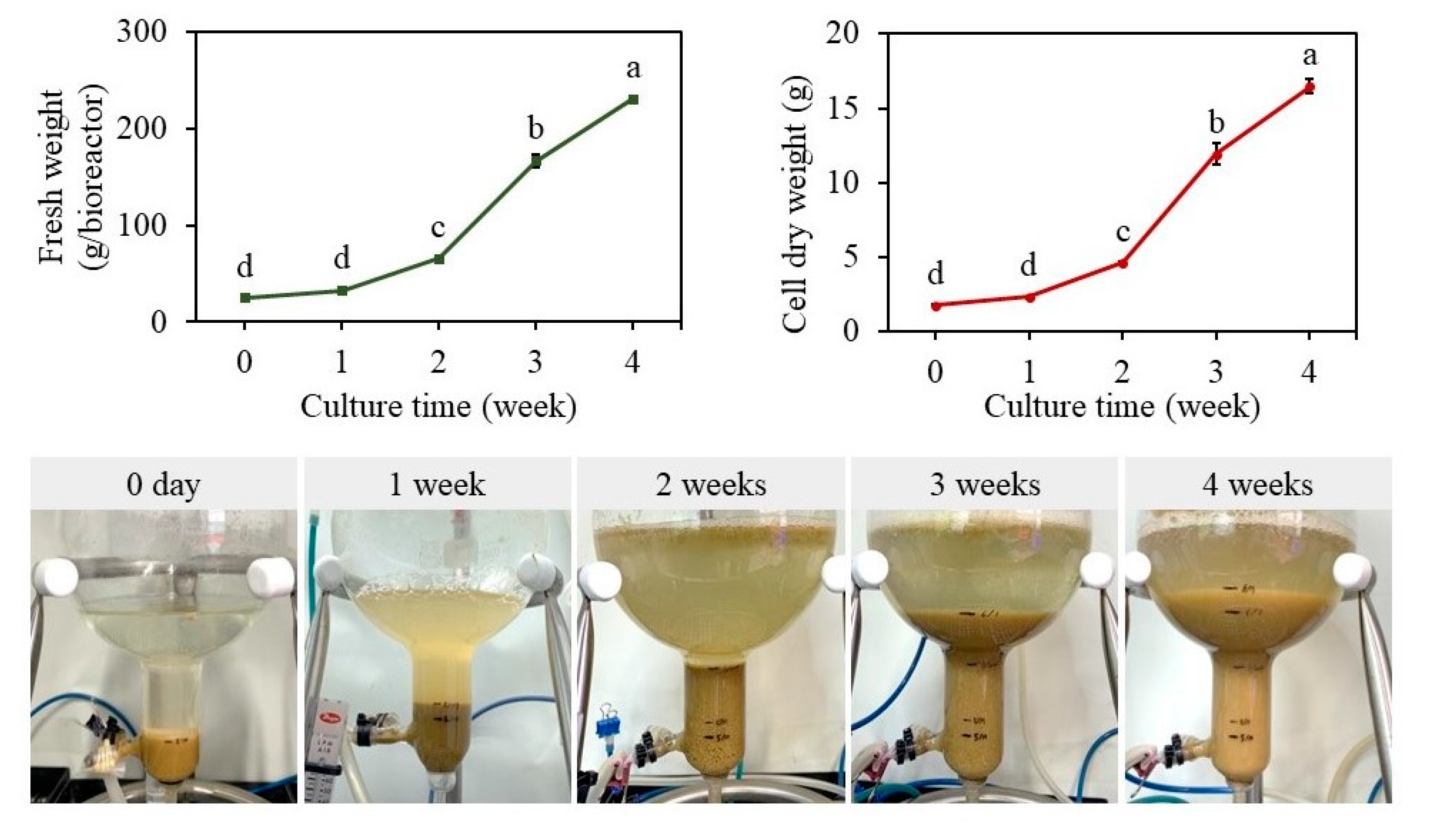 Plants 12 01390 g008