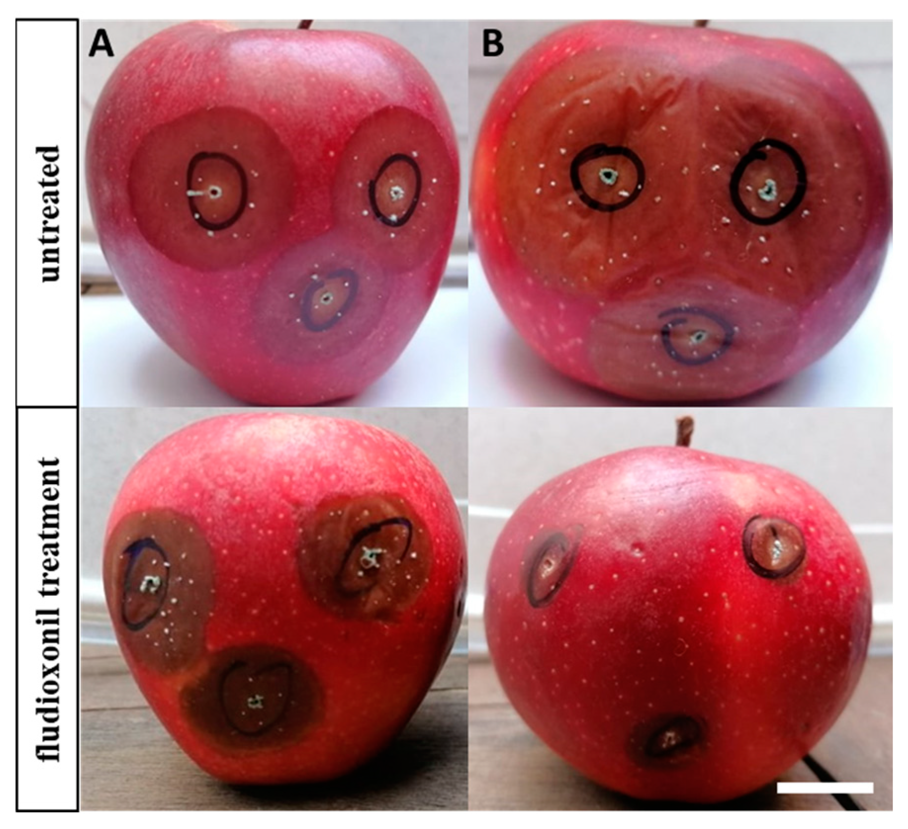 Plants 12 01398 g001 Plants 12 01398 g001