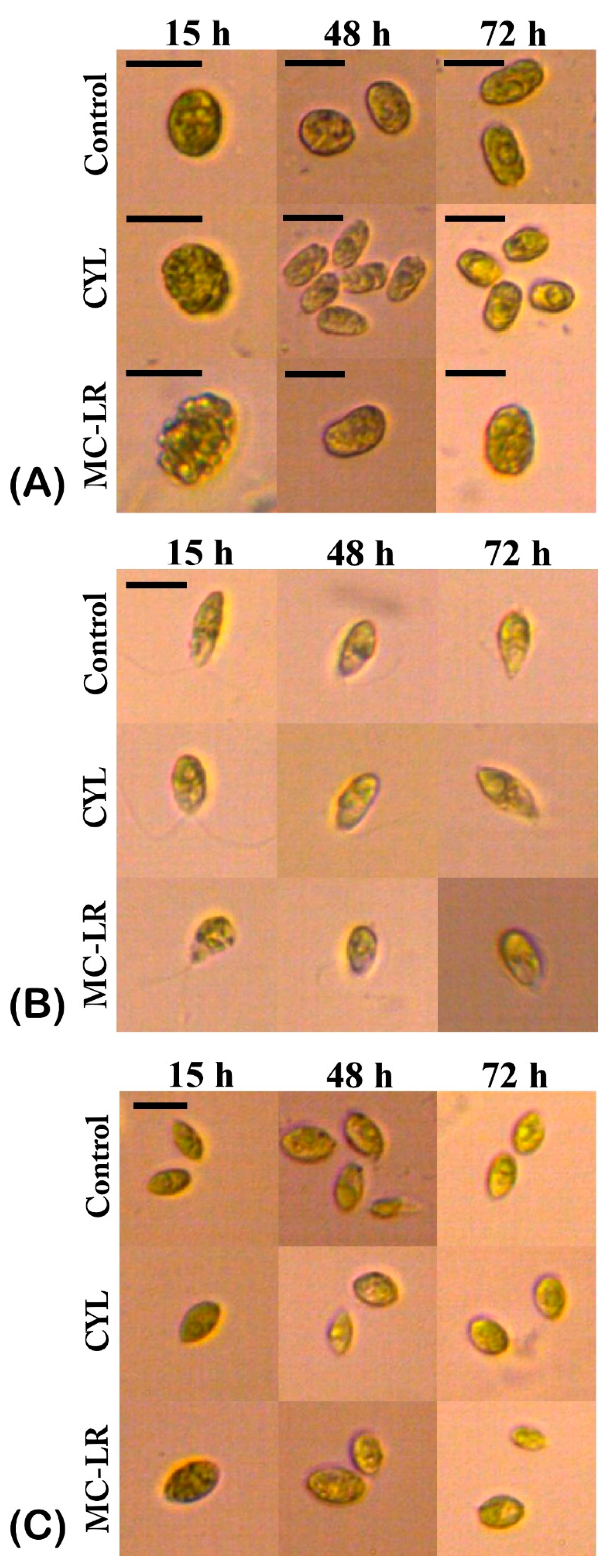 Plants 12 01403 g003