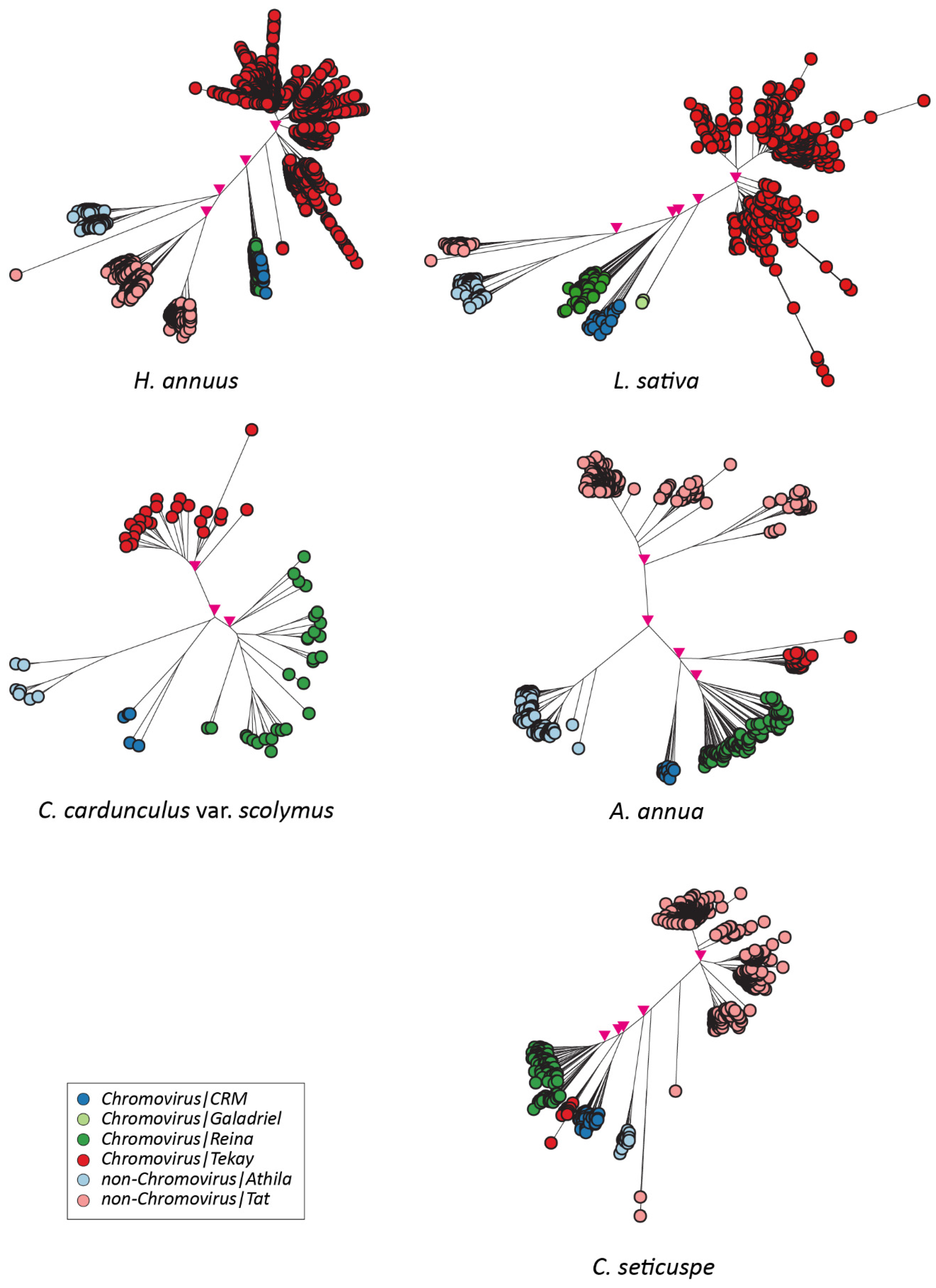 Plants 12 01405 g005