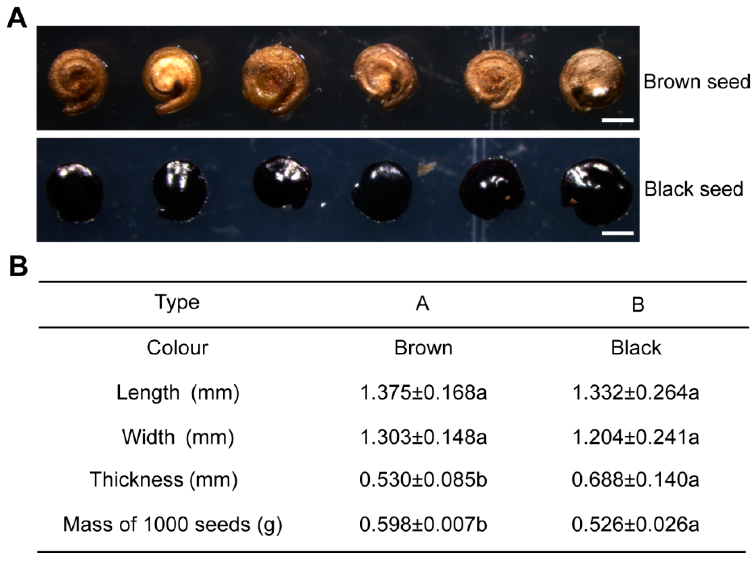Plants 12 01408 g001