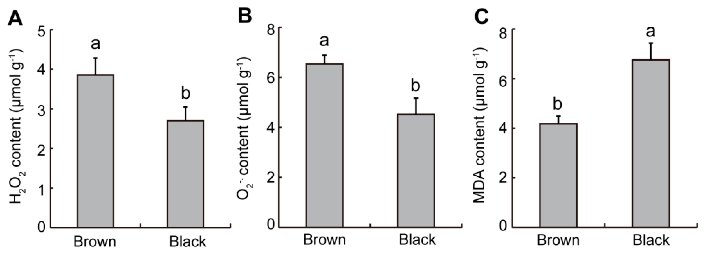 Plants 12 01408 g002