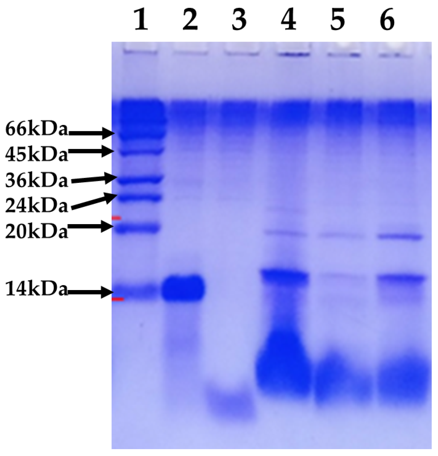 Plants 12 01409 g004 Plants 12 01409 g004