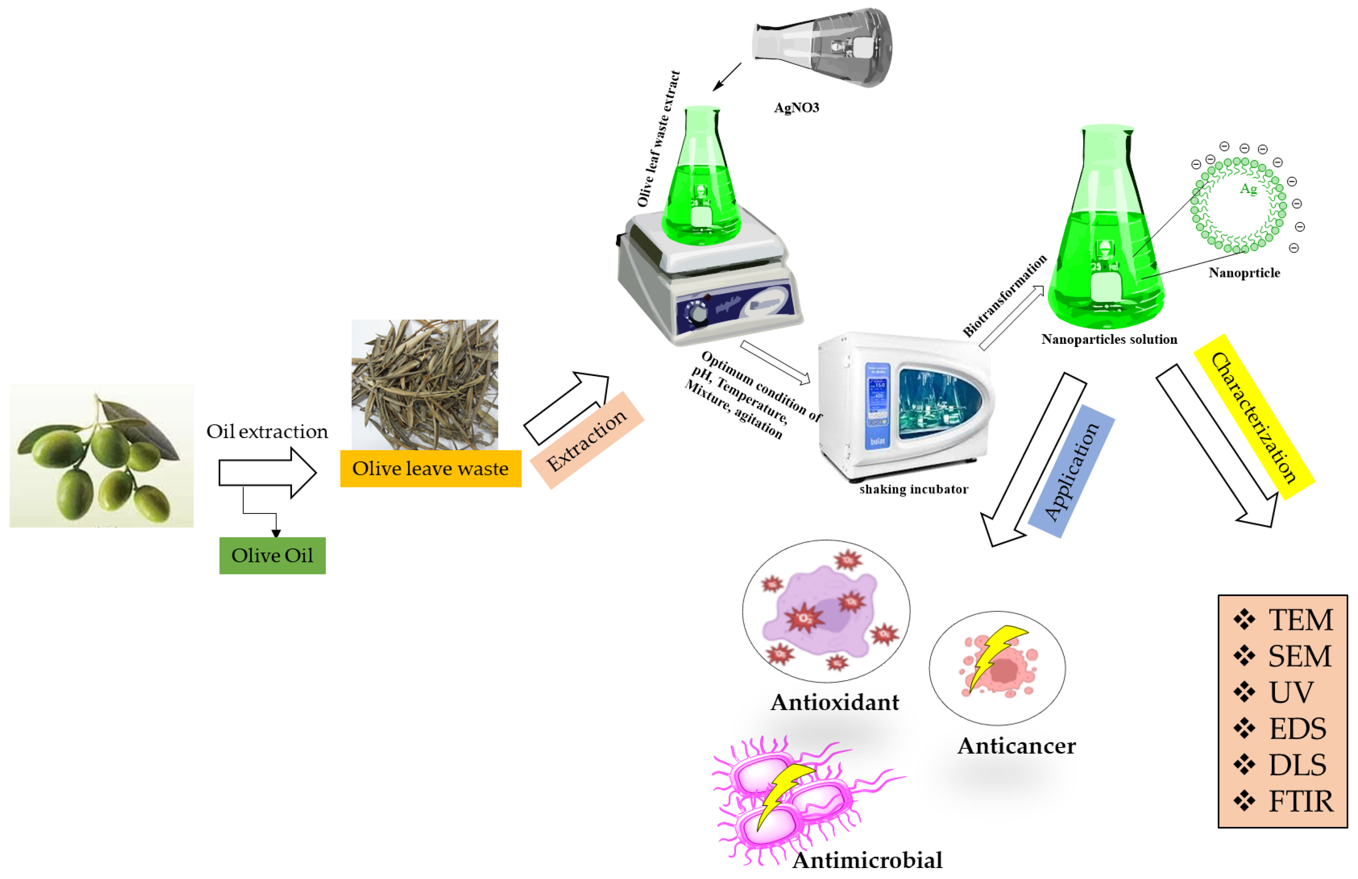 Plants 12 01410 sch001 Plants 12 01410 sch001