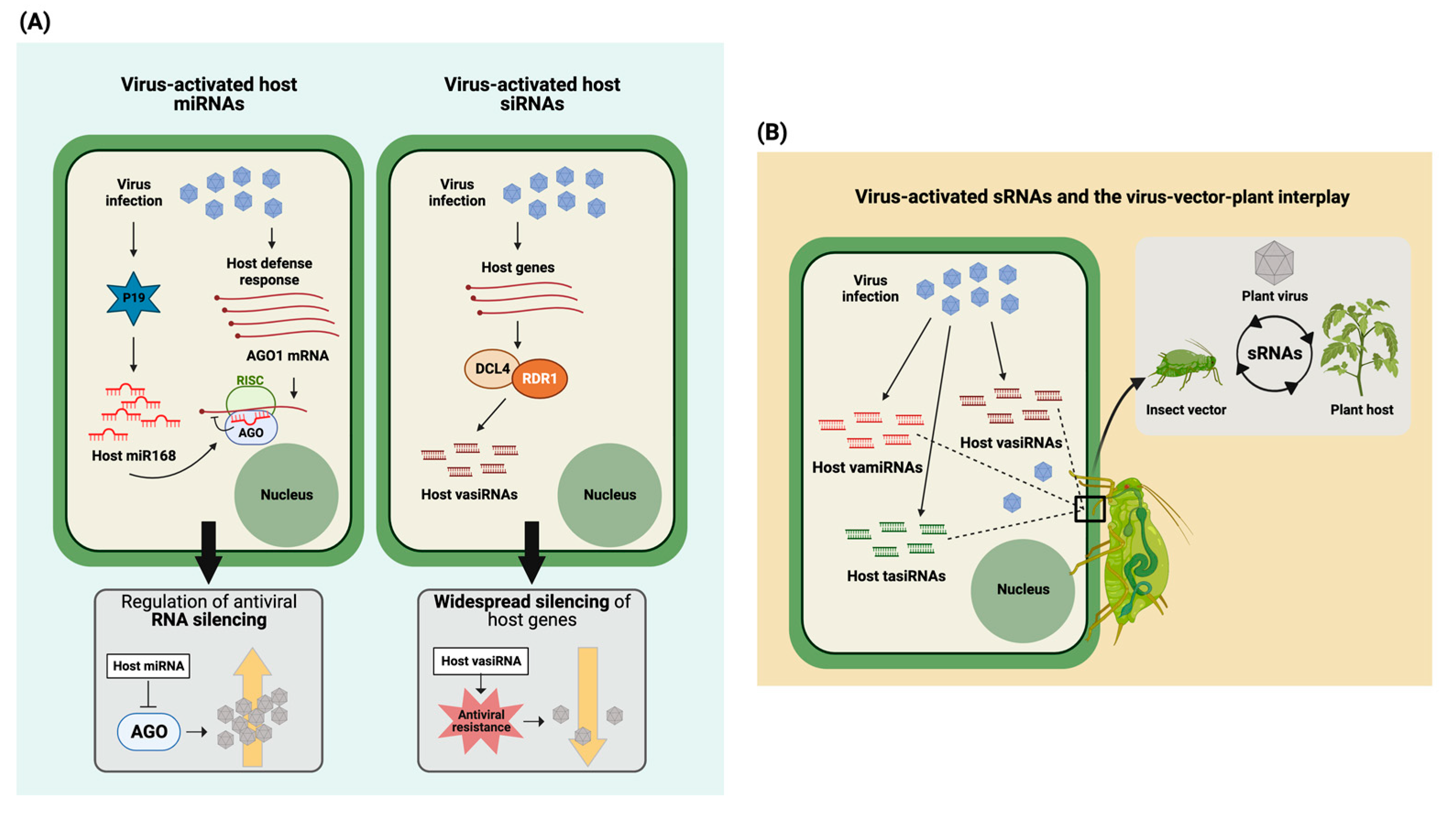 Plants 12 01411 g002
