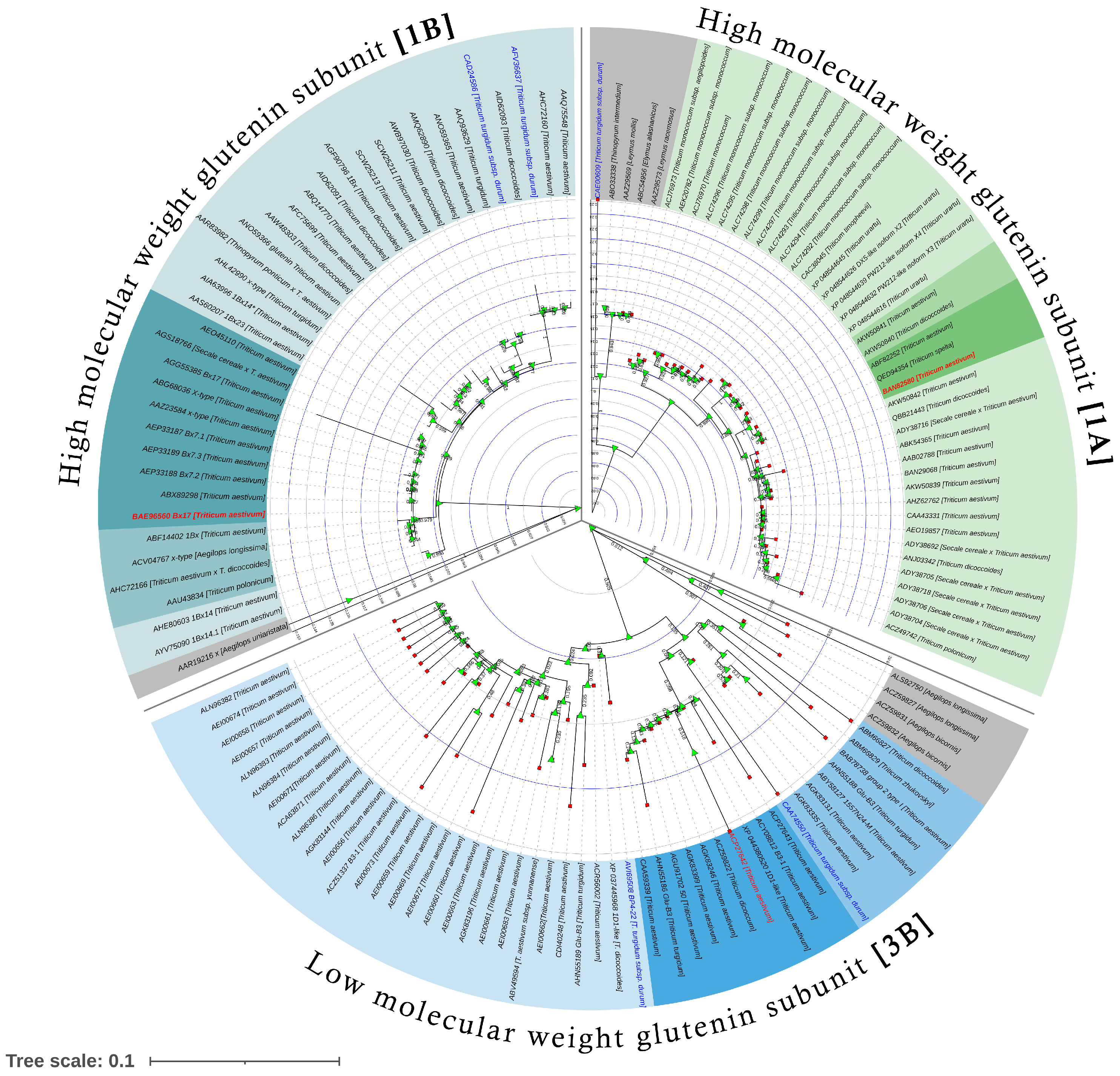 Plants 12 01416 g004