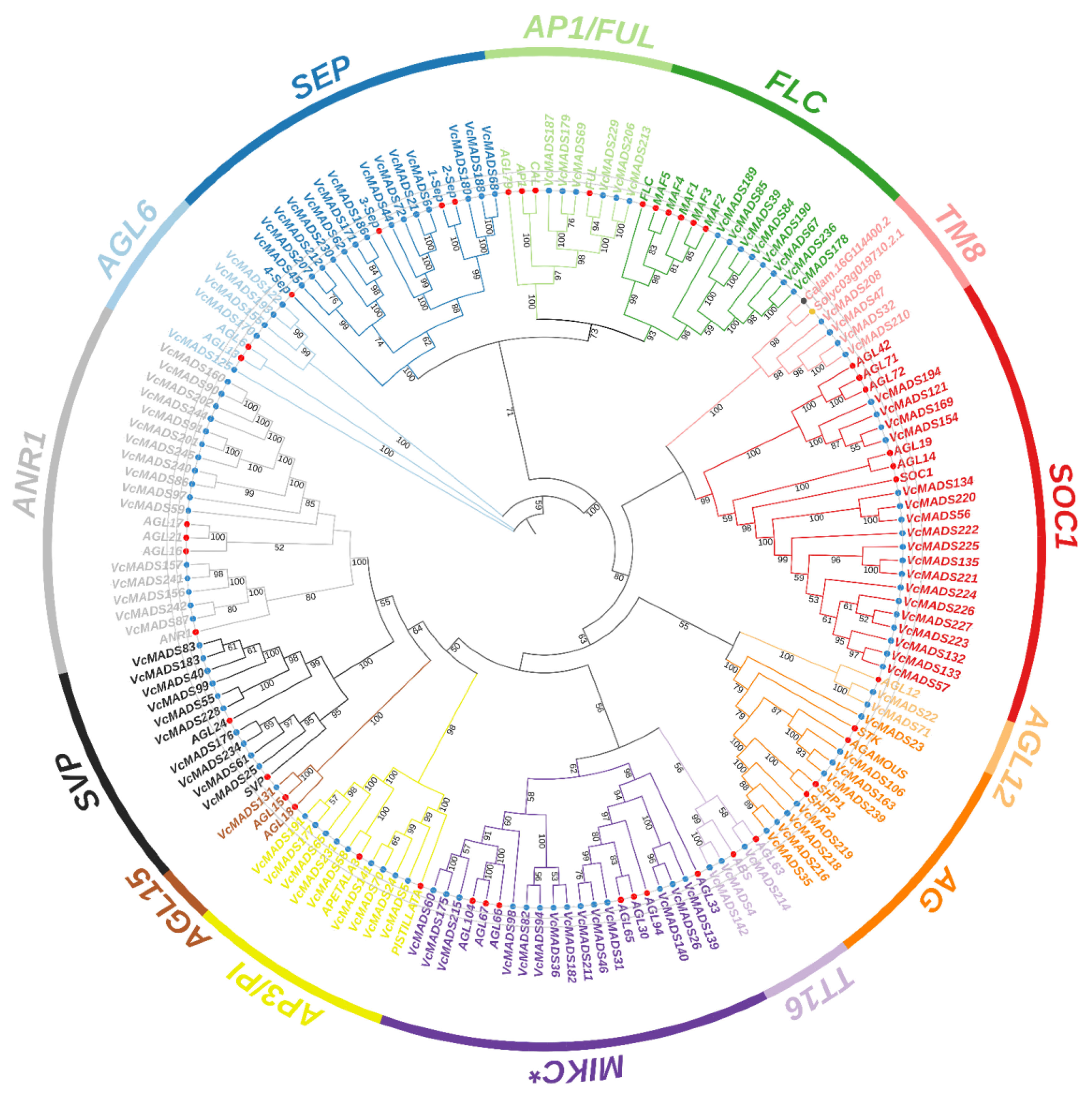 Plants 12 01424 g002 Plants 12 01424 g002