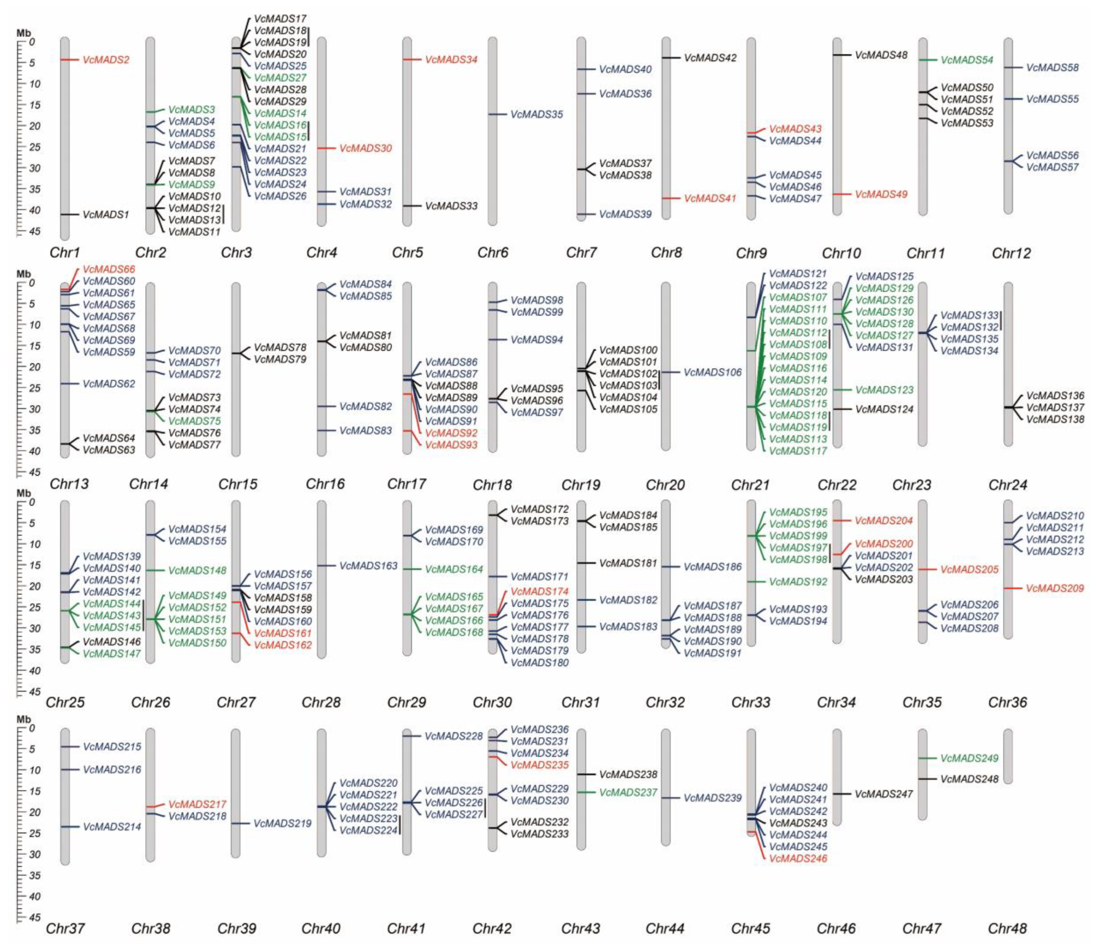 Plants 12 01424 g003 Plants 12 01424 g003