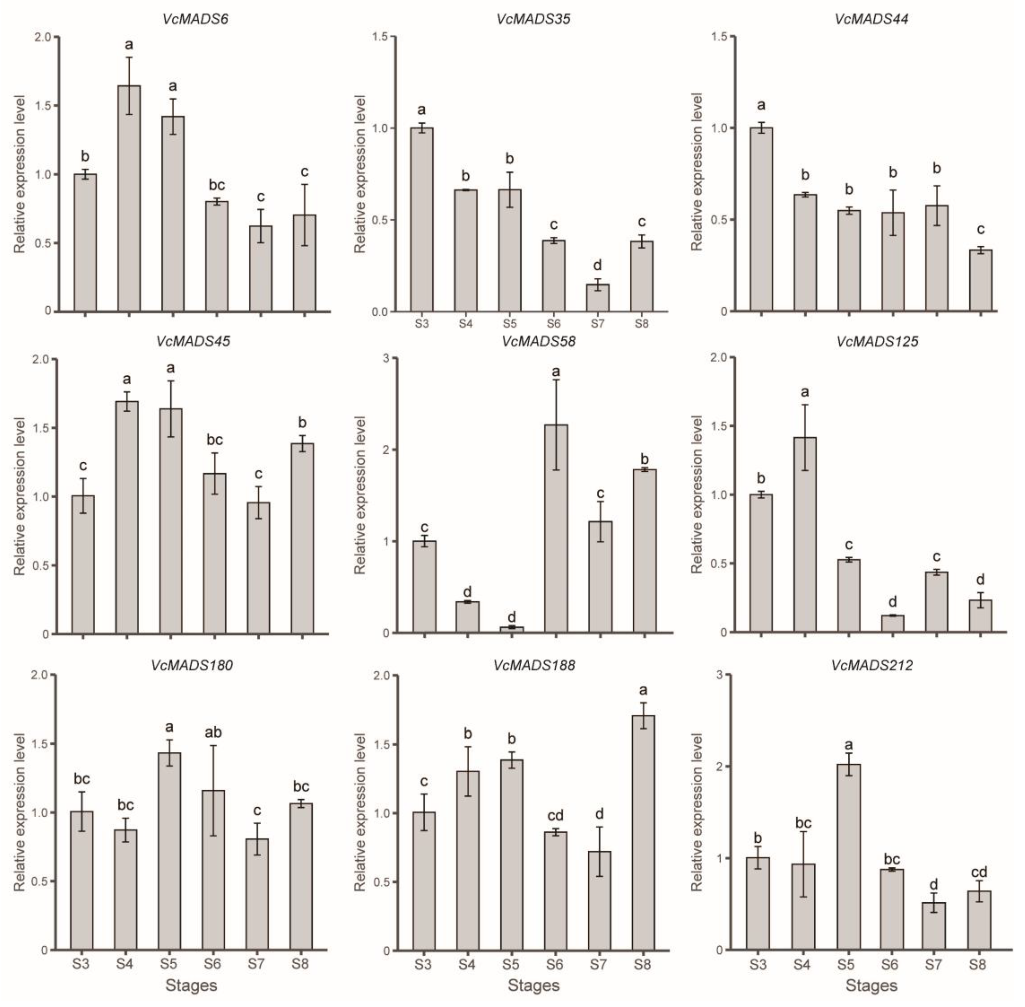 Plants 12 01424 g009 Plants 12 01424 g009