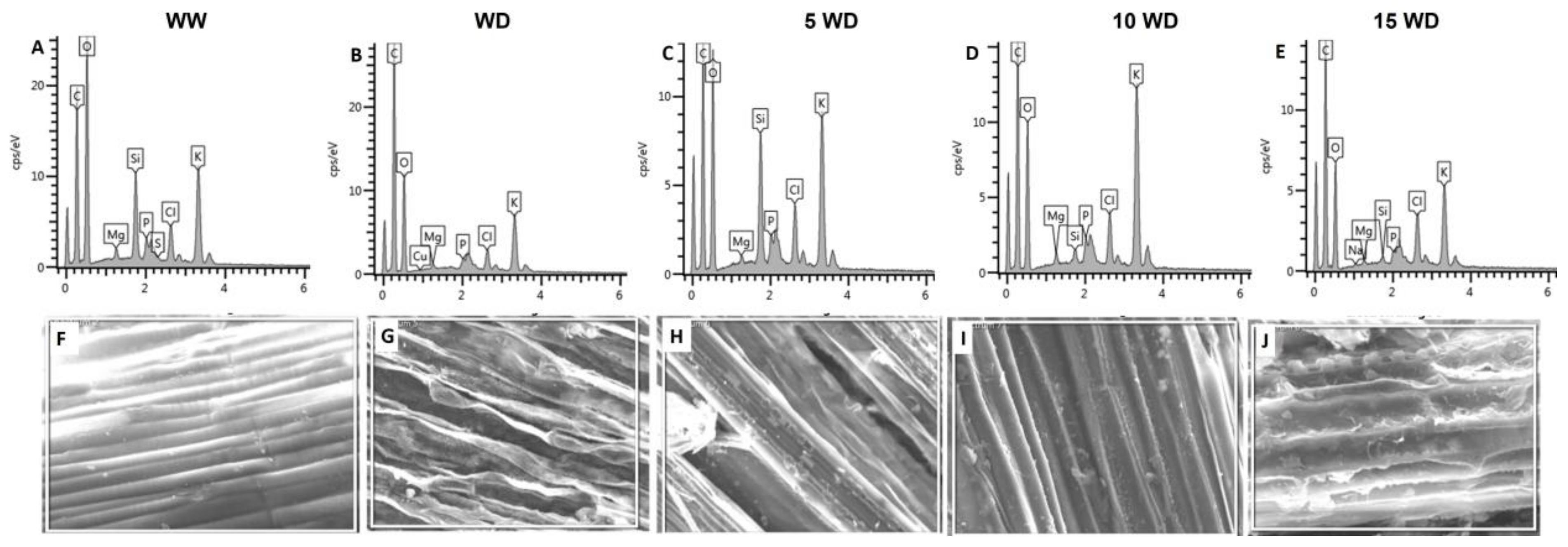 Plants 12 01425 g005