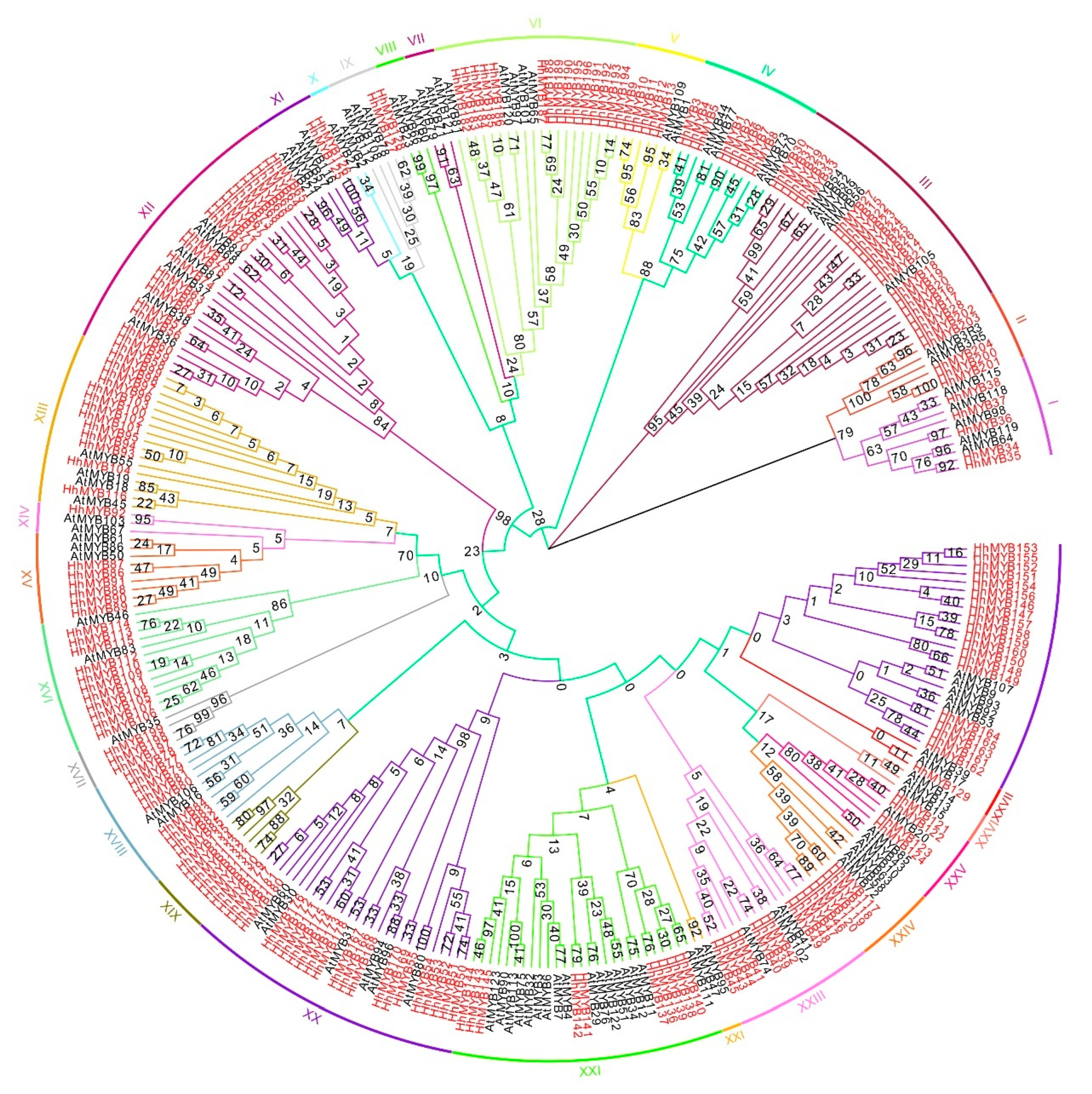 Plants 12 01429 g001