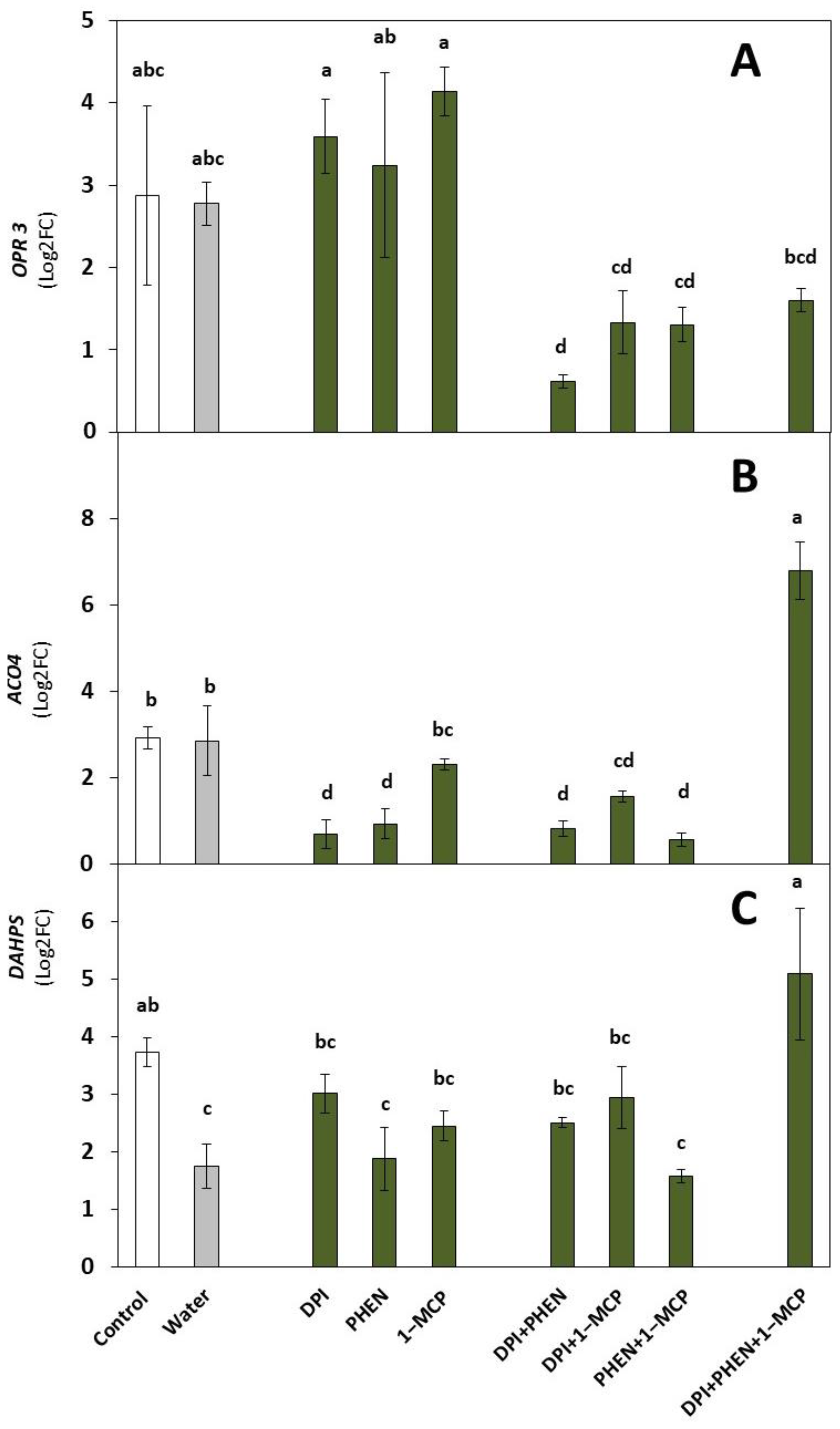 Plants 12 01434 g001