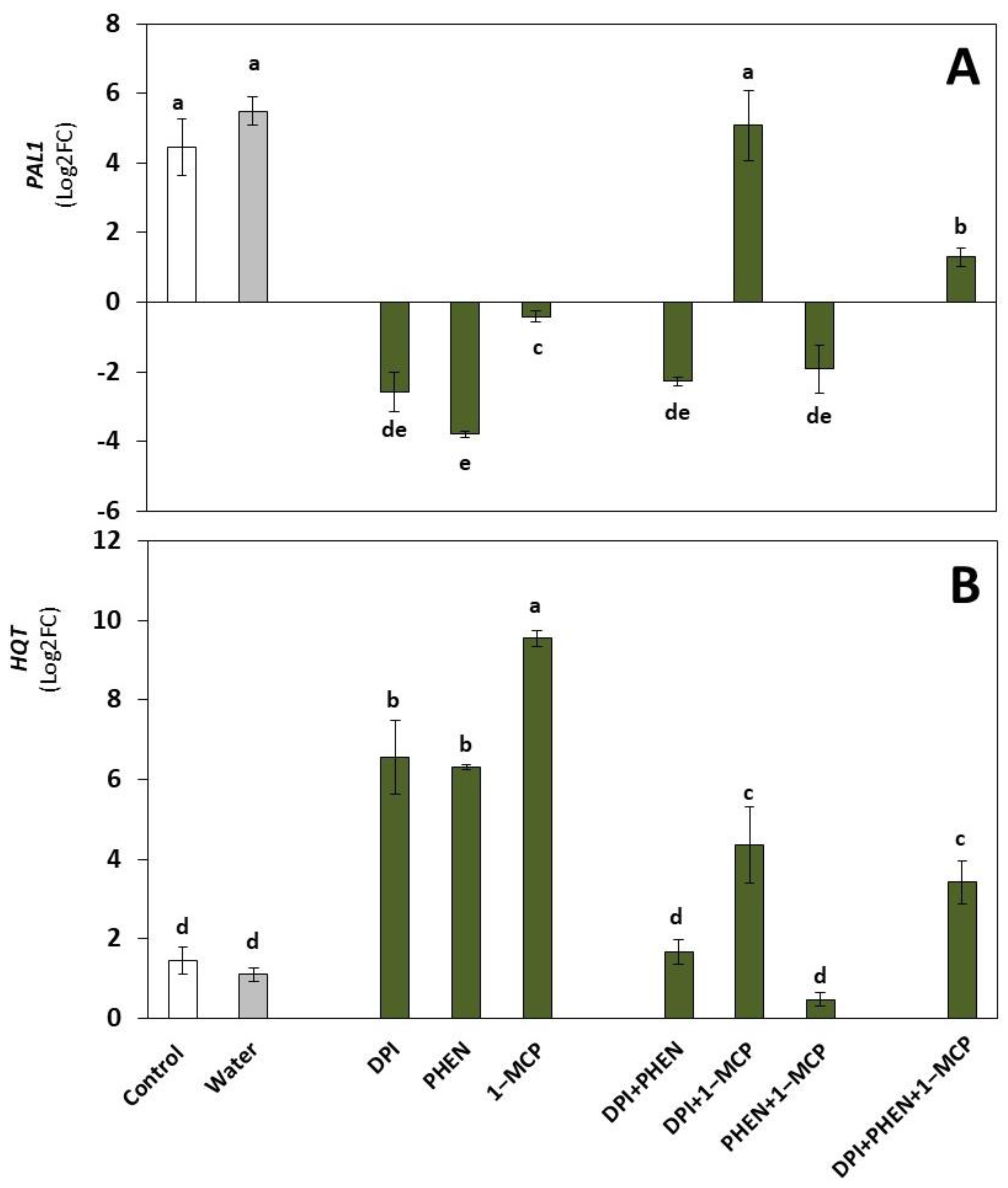 Plants 12 01434 g002
