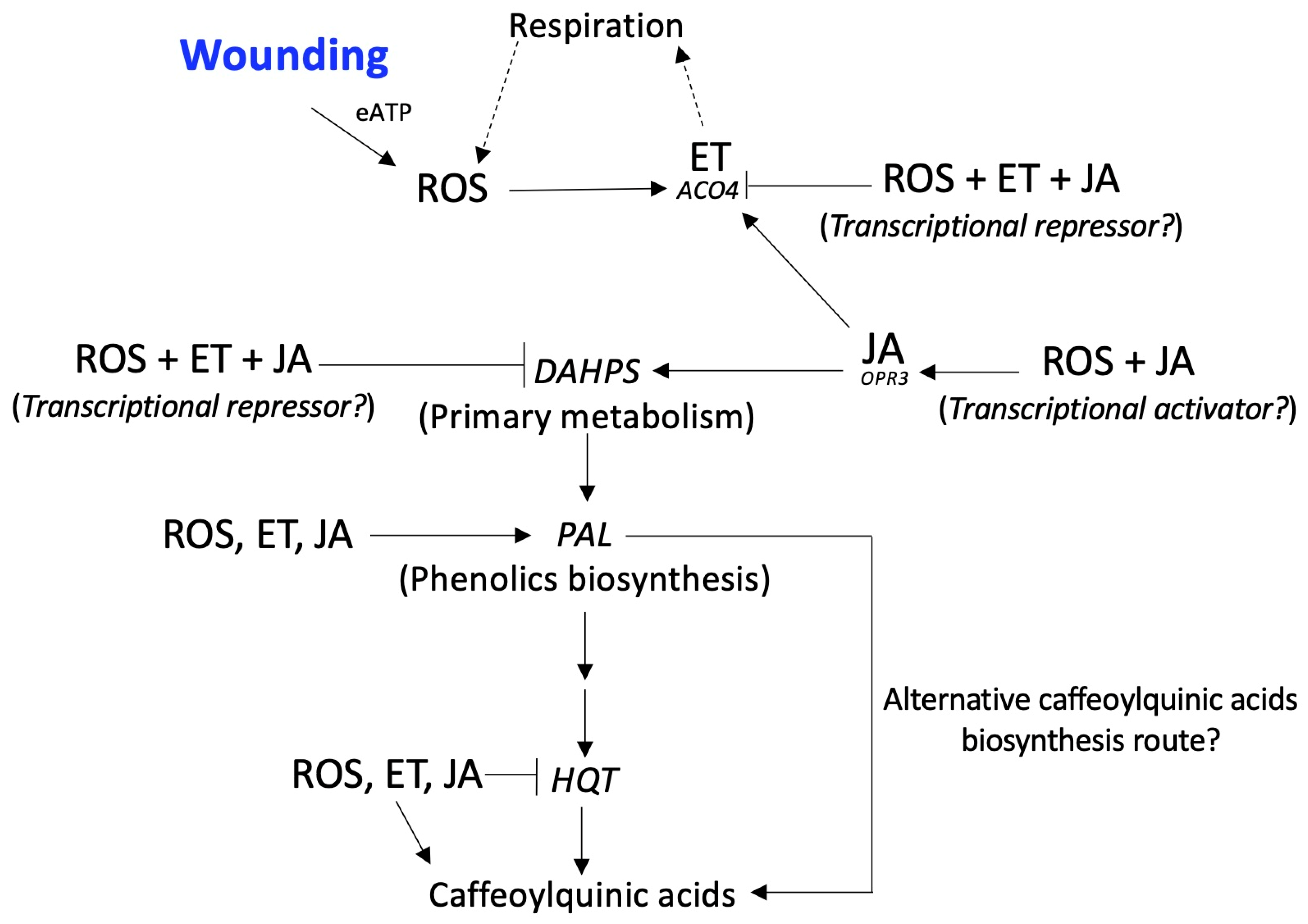 Plants 12 01434 g004