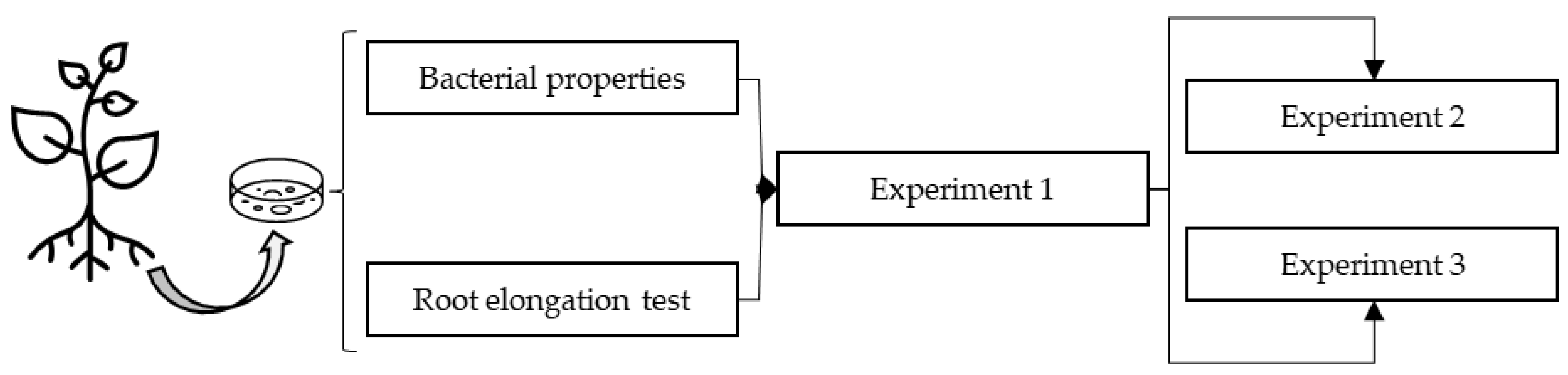 Plants 12 01436 g001 Plants 12 01436 g001
