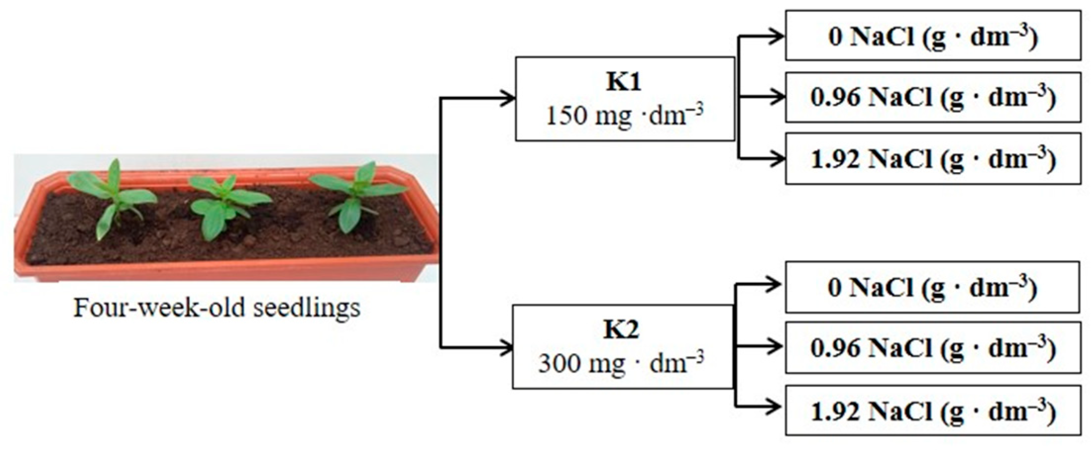 Plants 12 01439 g009