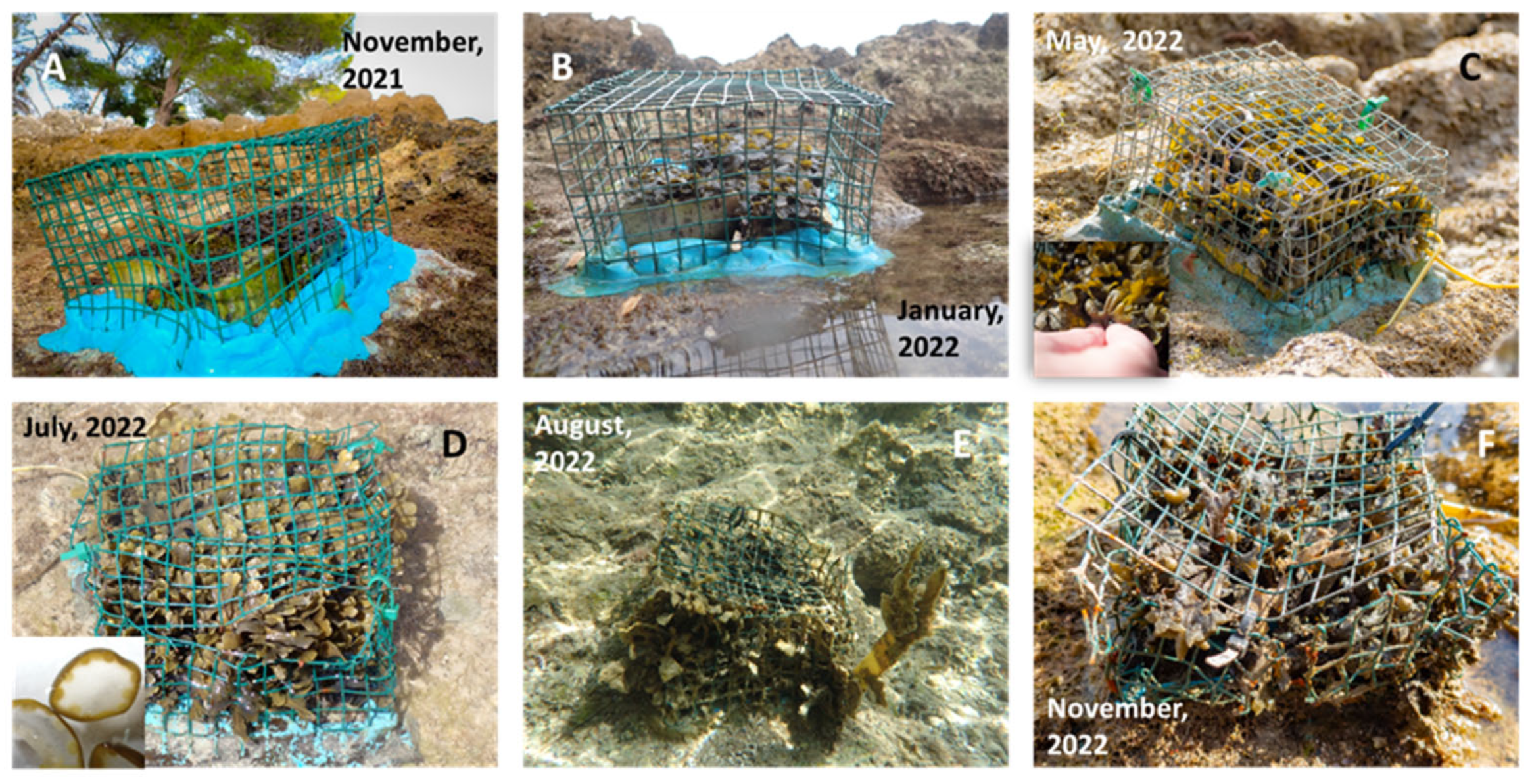 Plants 12 01445 g003