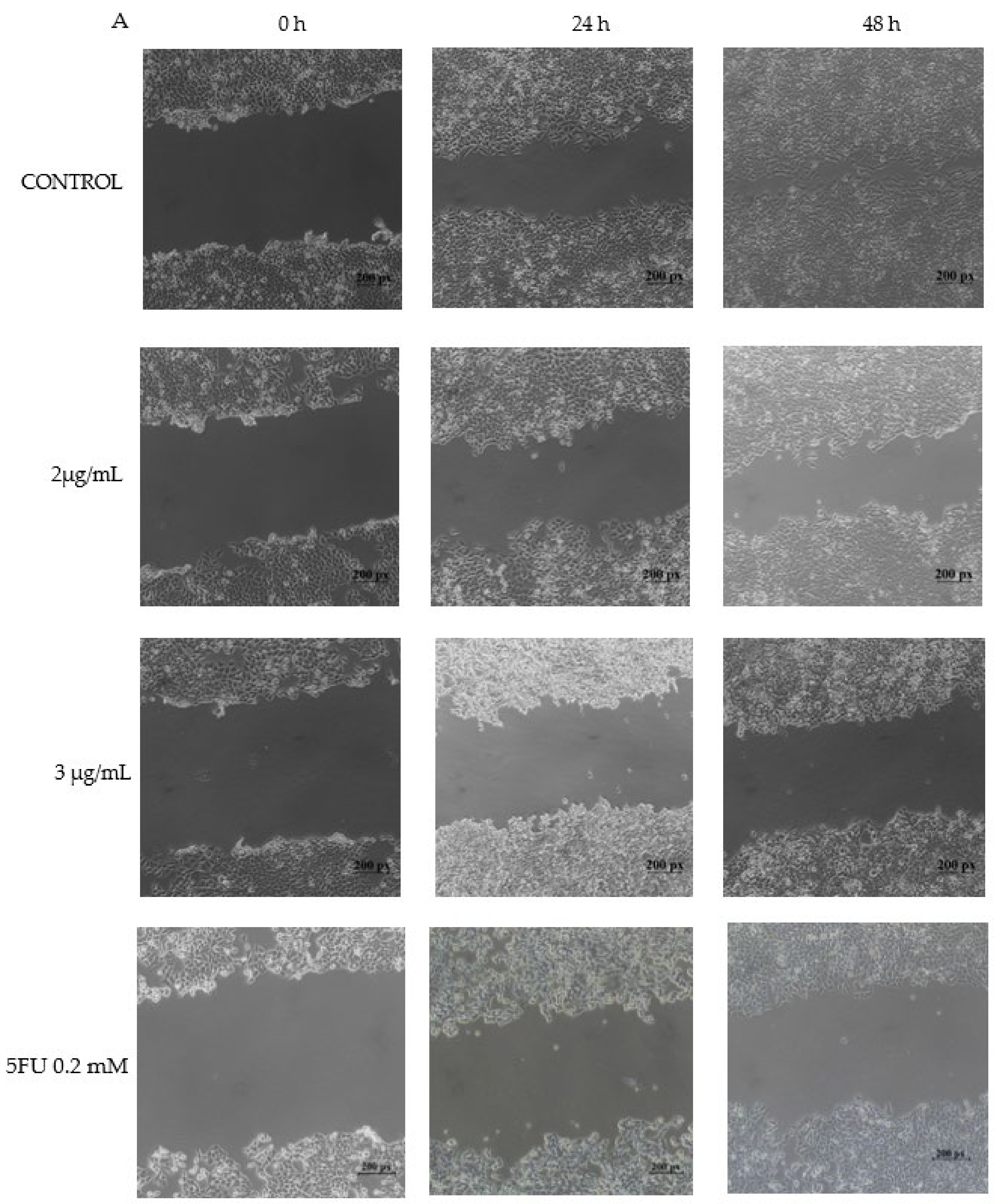 Plants 12 01446 g004a