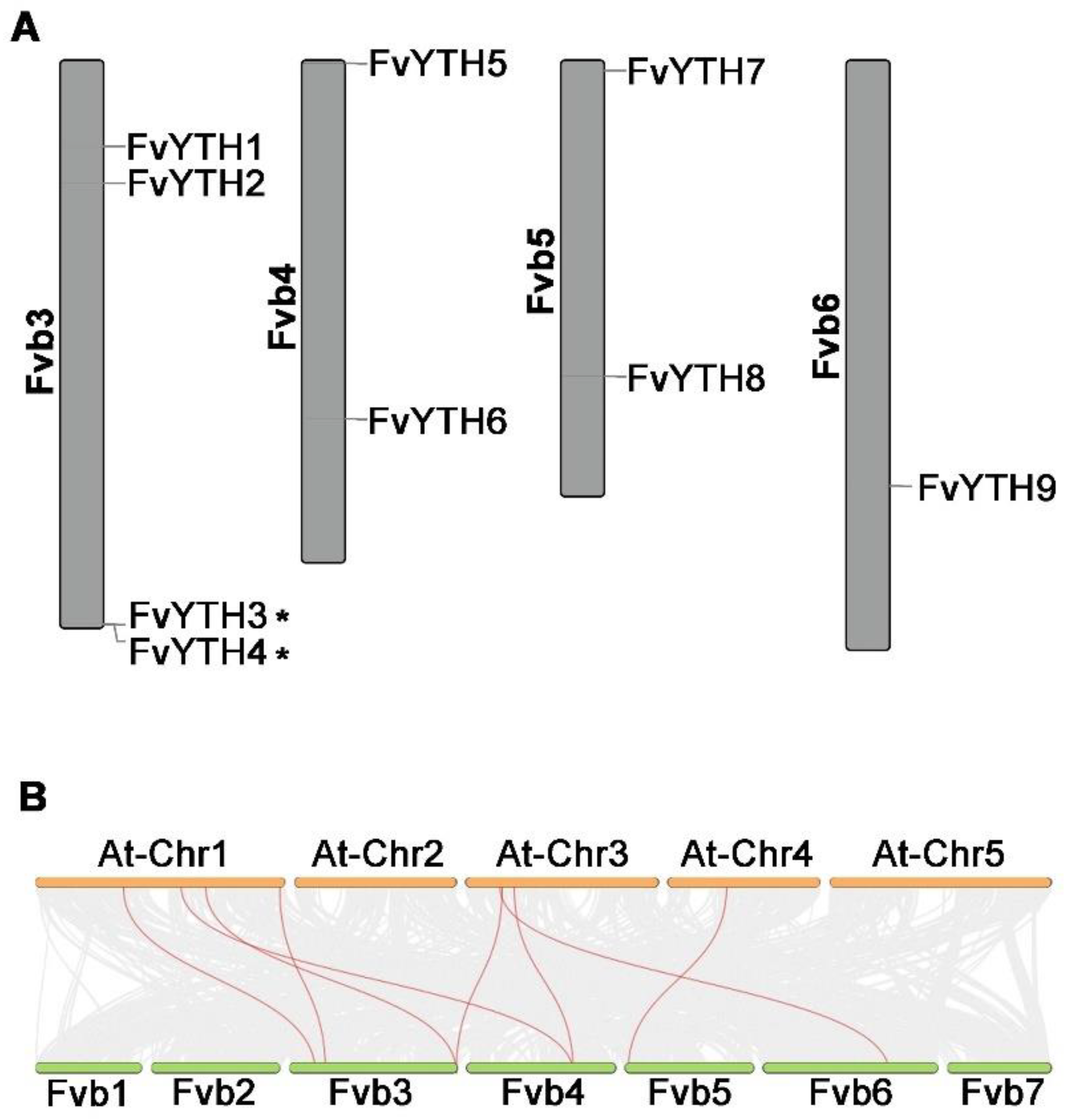 Plants 12 01449 g001