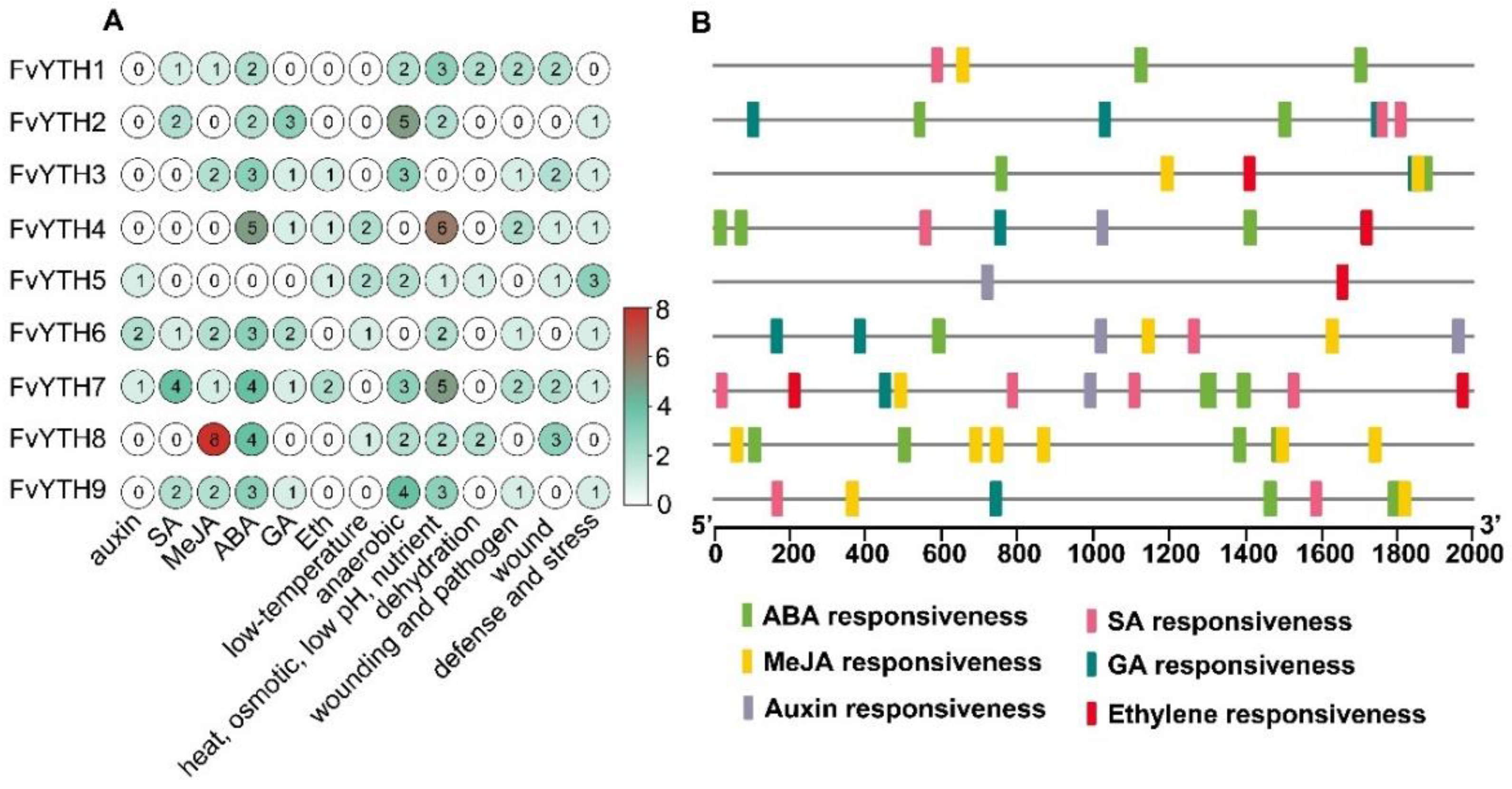 Plants 12 01449 g005