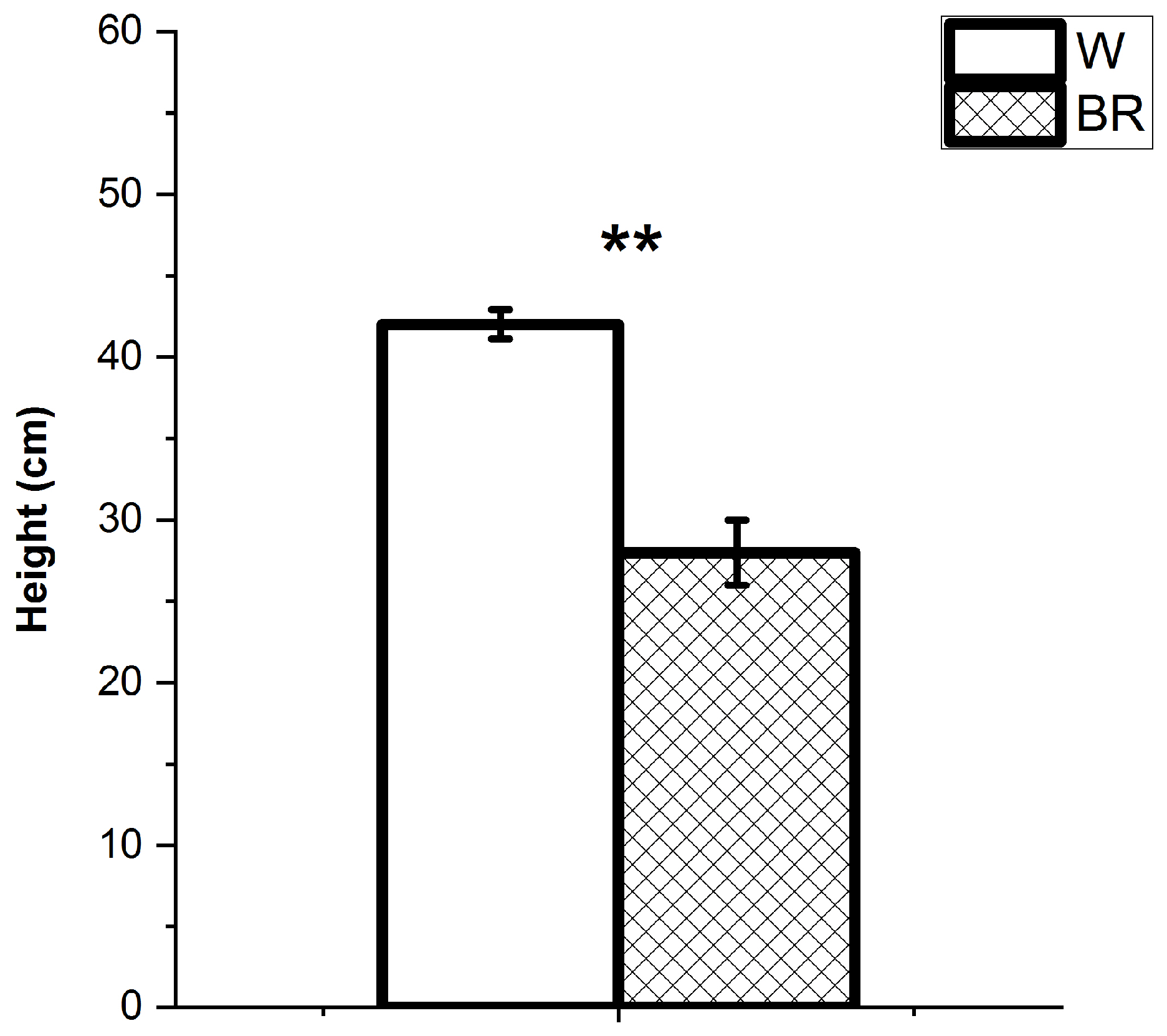 Plants 12 01450 g002