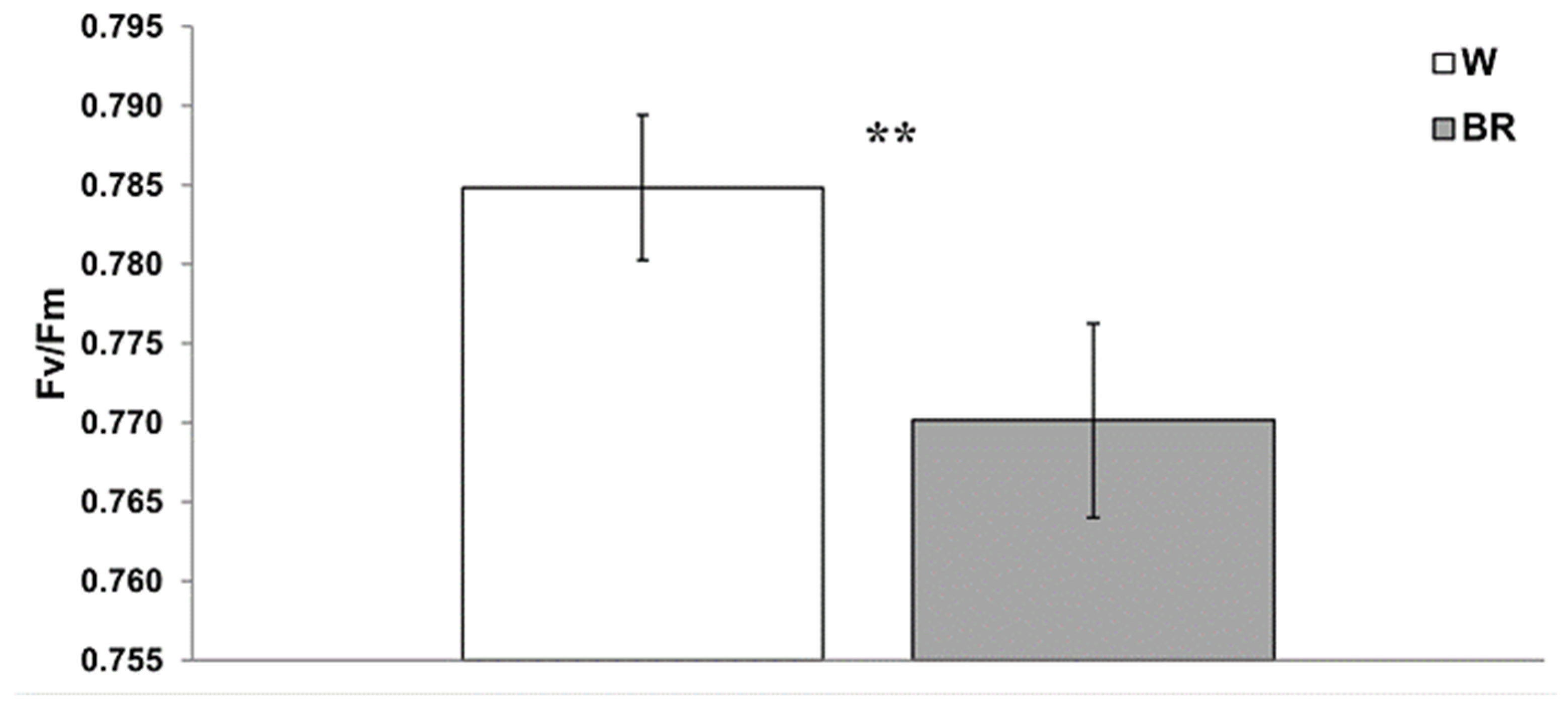 Plants 12 01450 g005