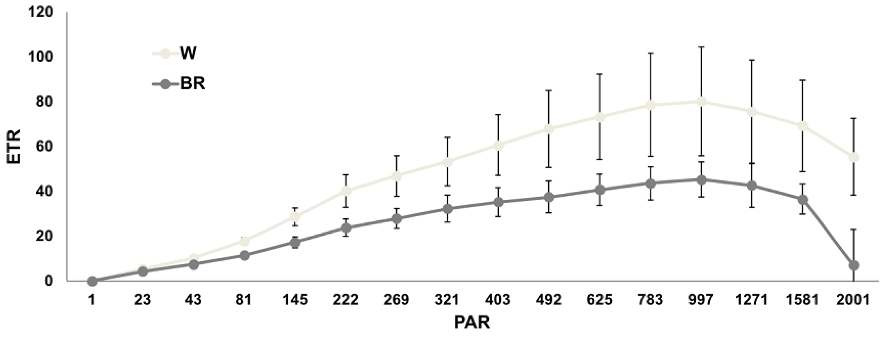 Plants 12 01450 g006