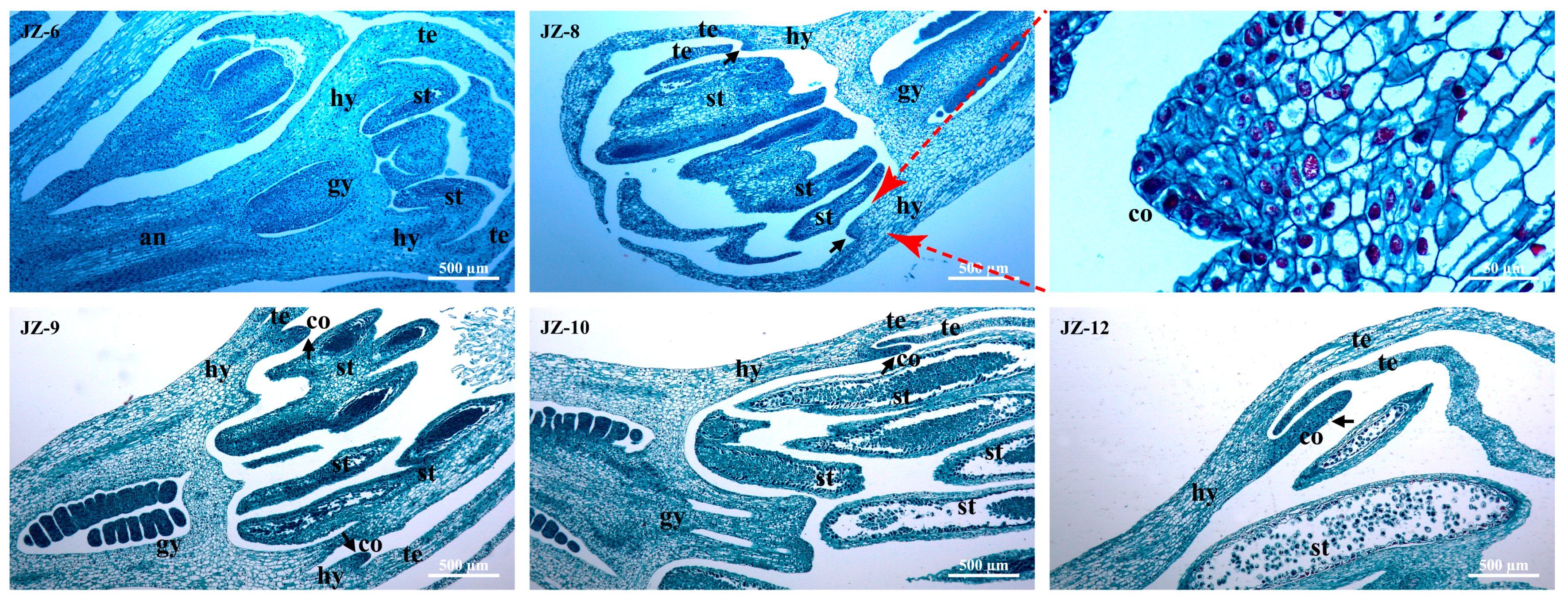 Plants 12 01458 g003 550