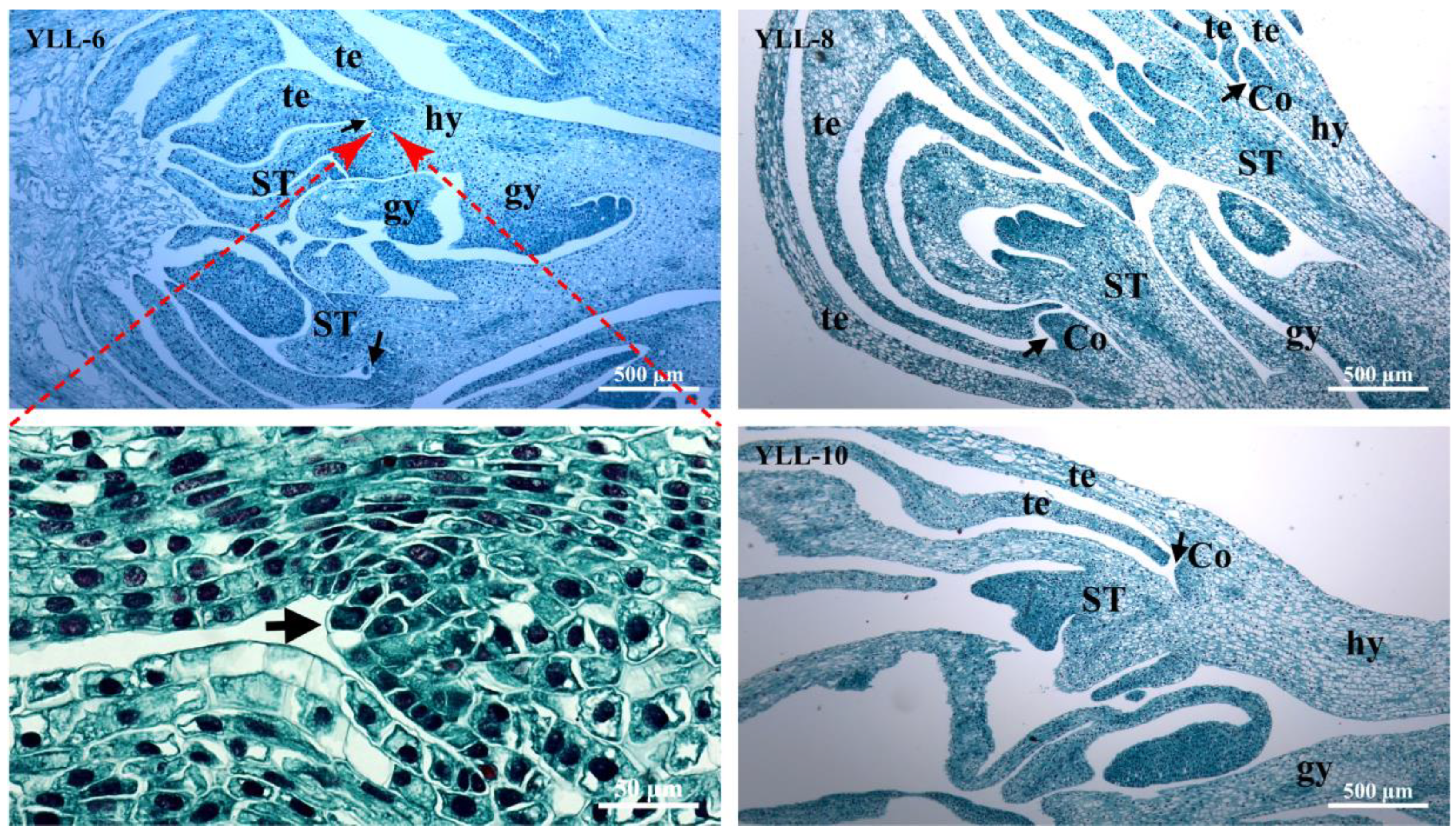 Plants 12 01458 g004 550