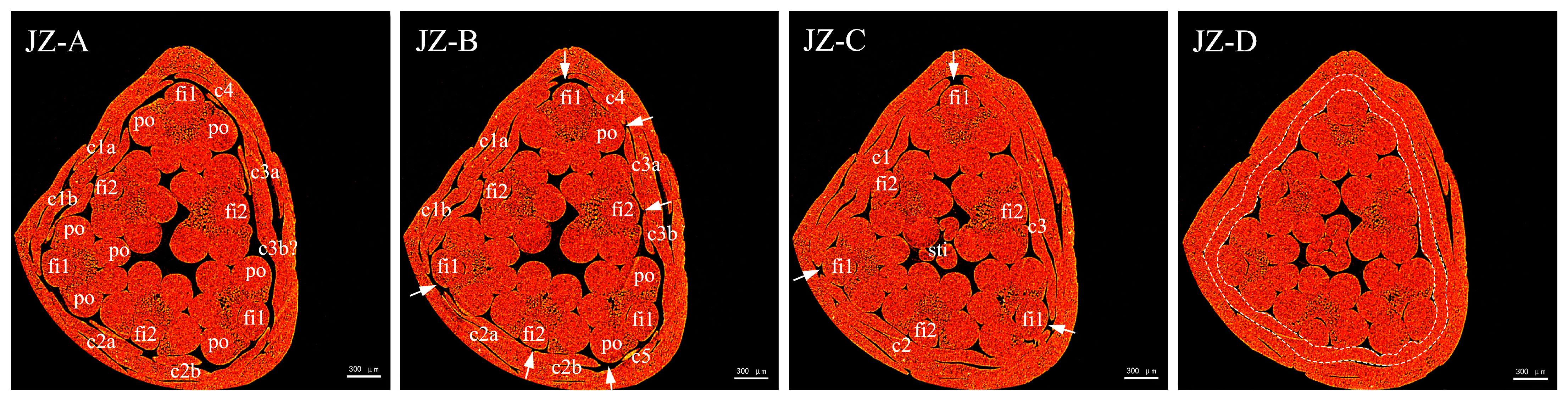Plants 12 01458 g007 550