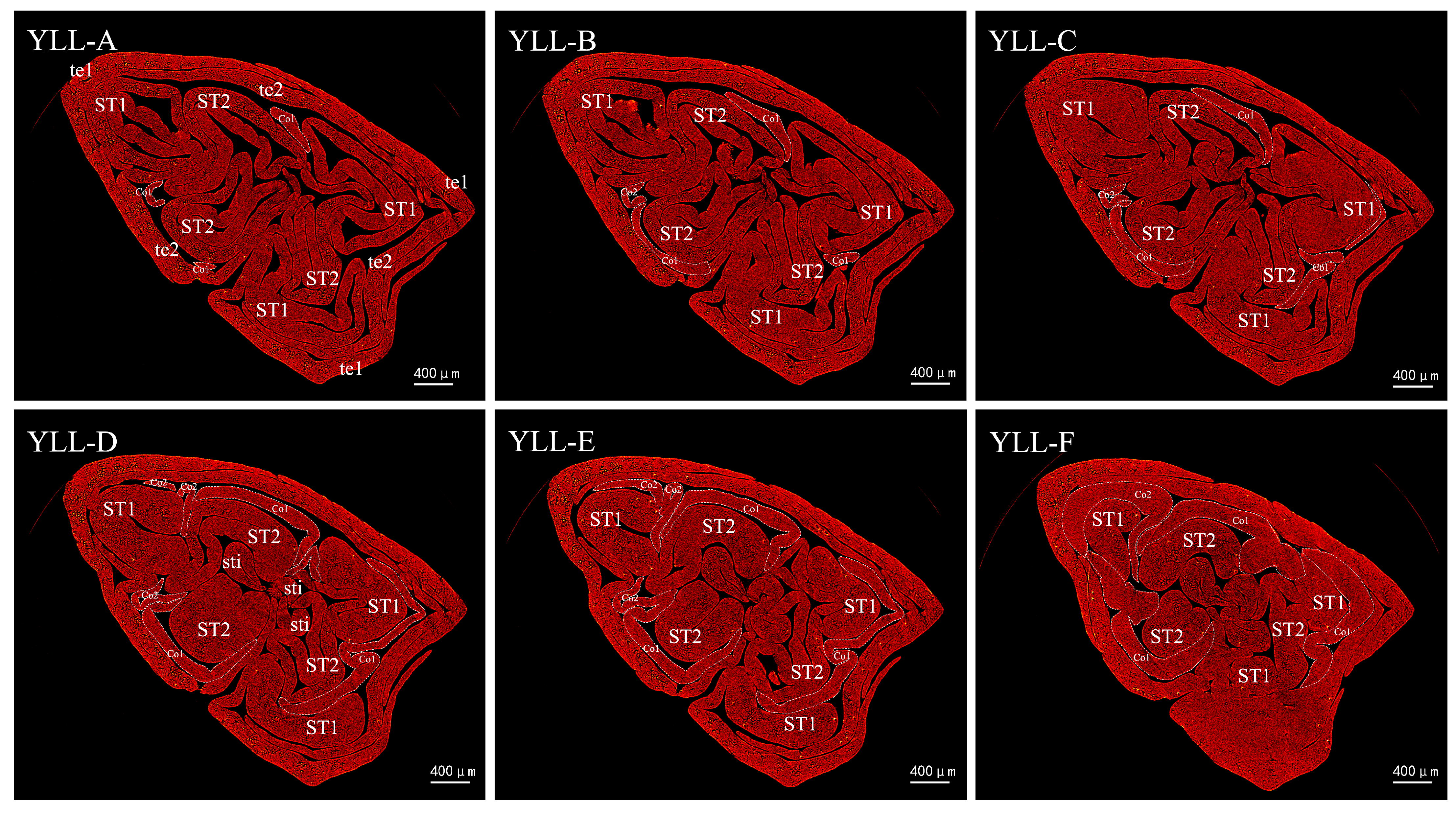 Plants 12 01458 g008 550