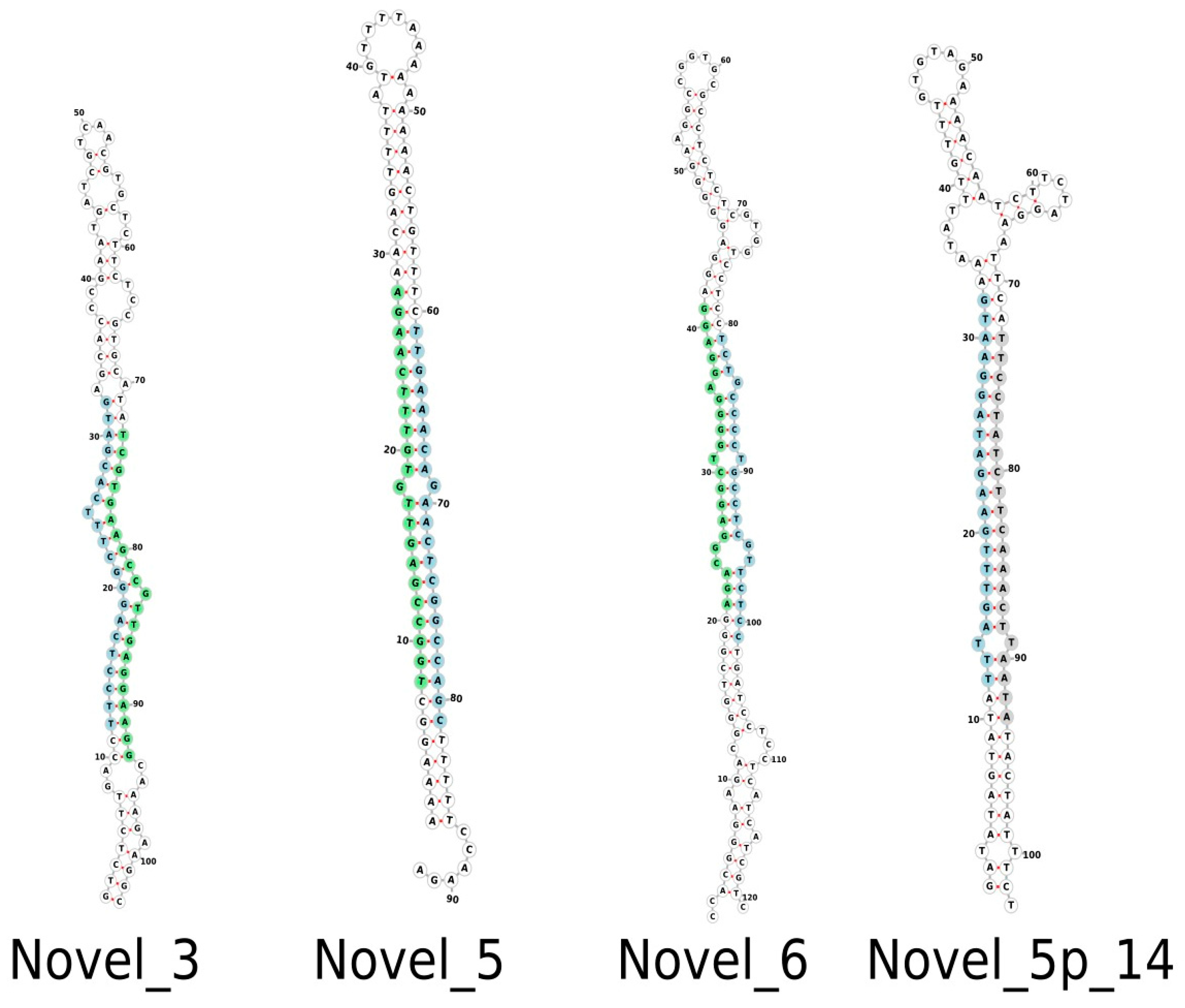 Plants 12 01473 g002