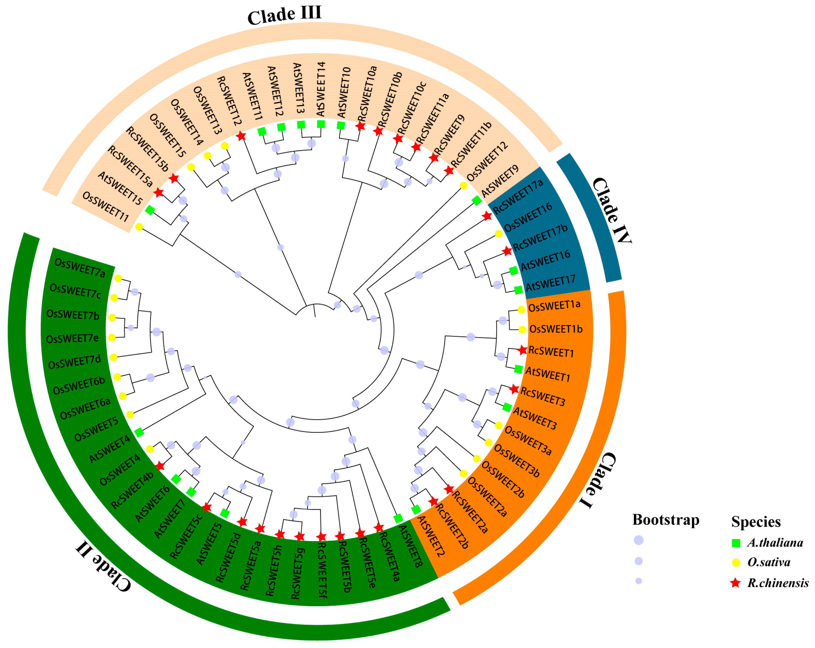 Plants 12 01474 g002