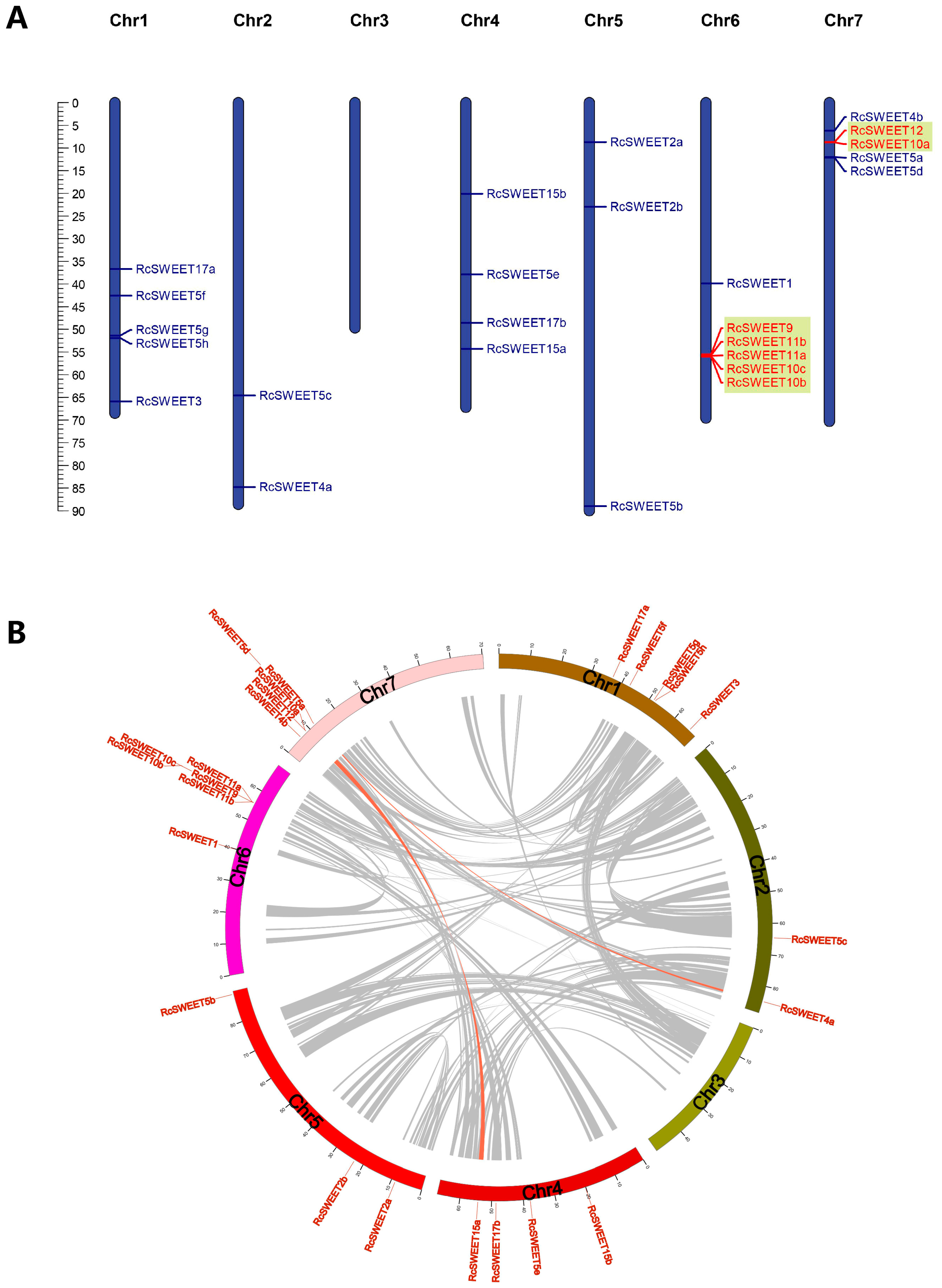 Plants 12 01474 g003
