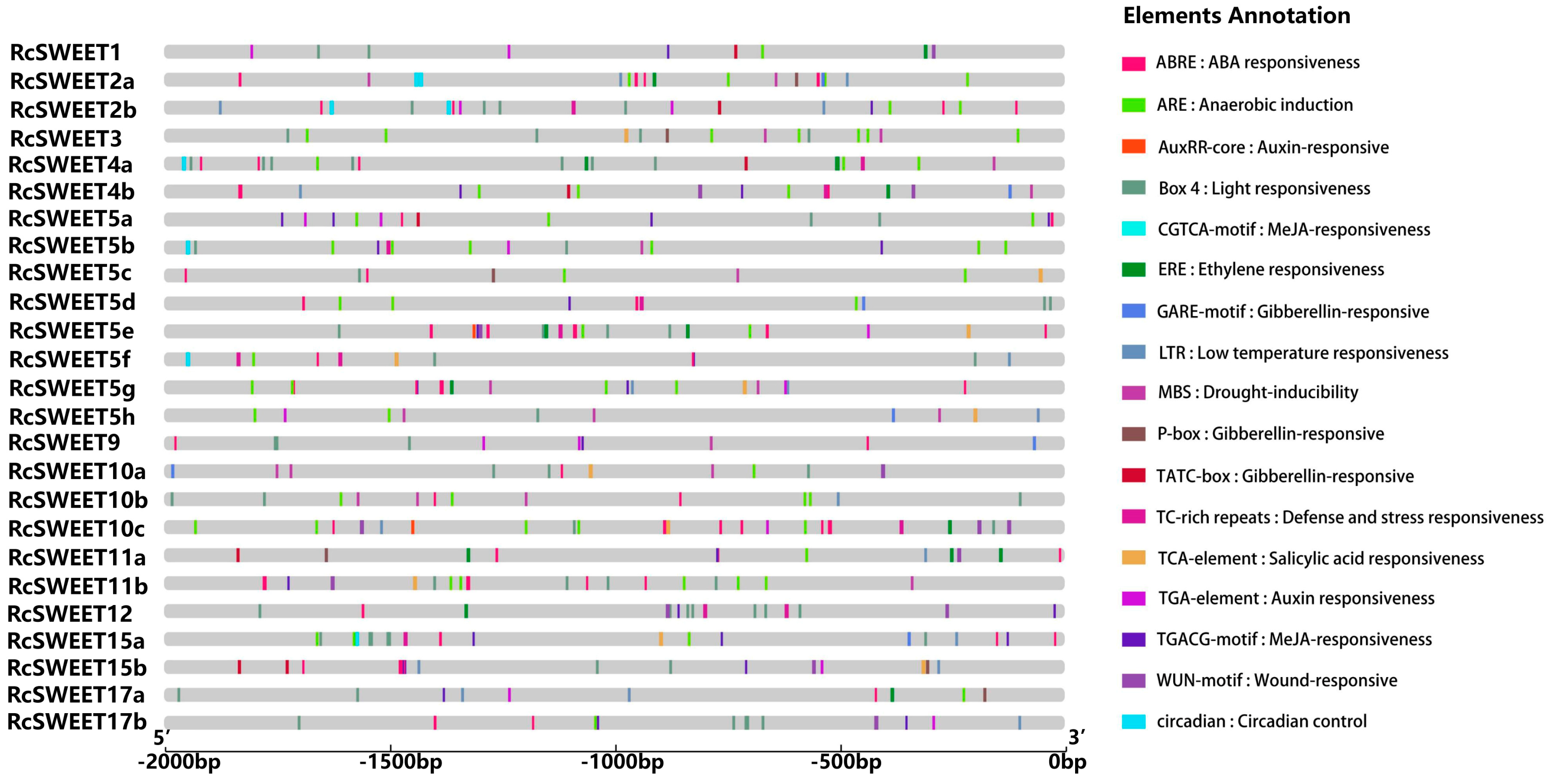 Plants 12 01474 g004