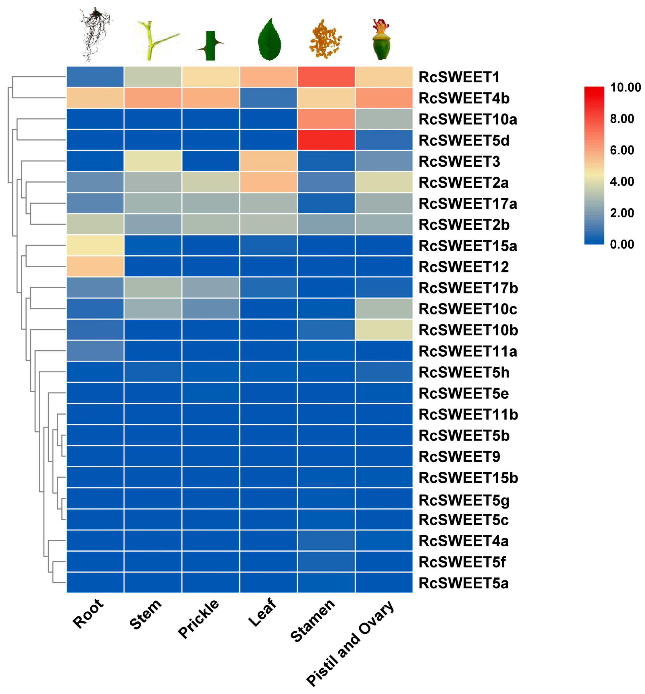 Plants 12 01474 g005