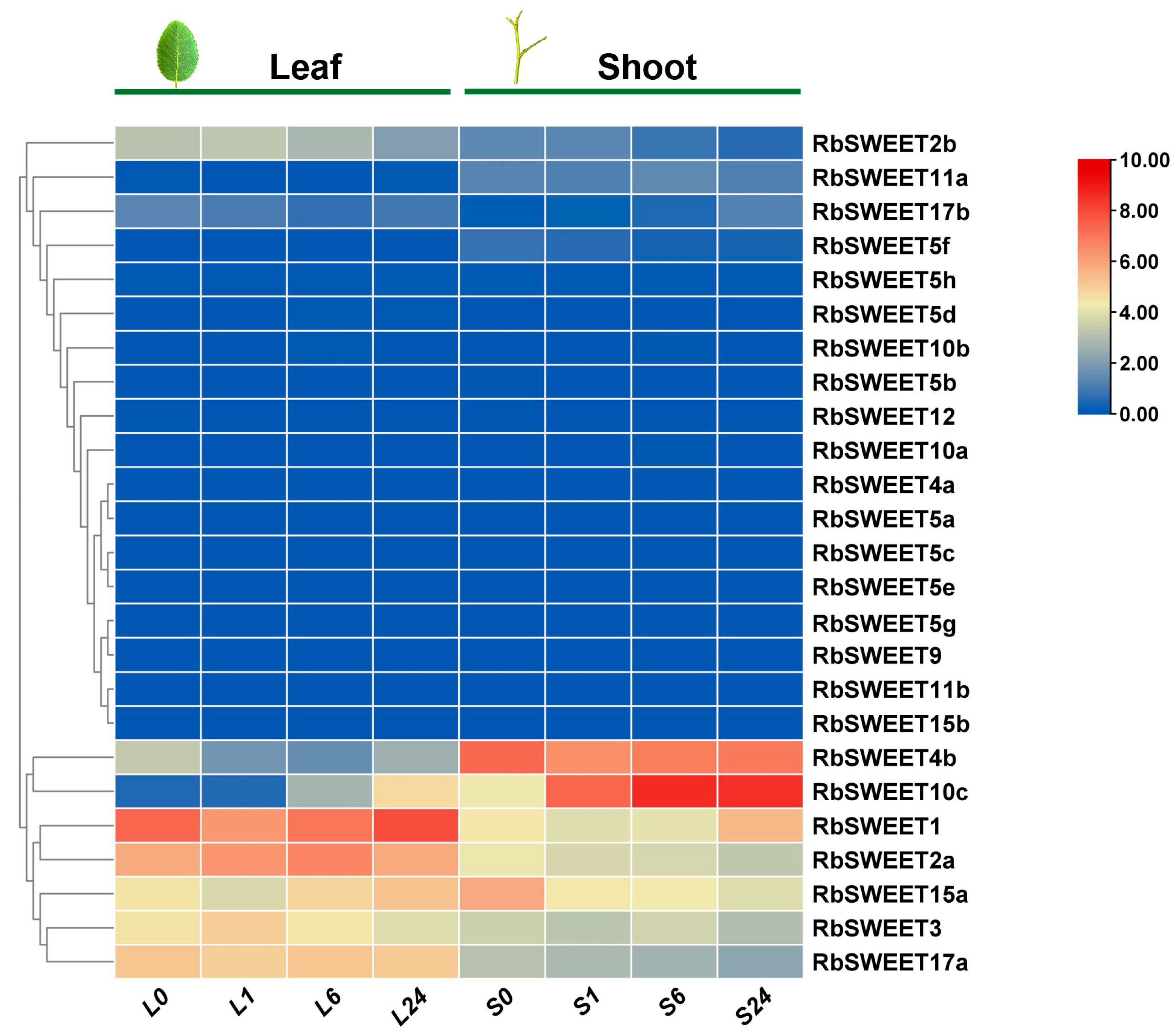 Plants 12 01474 g006