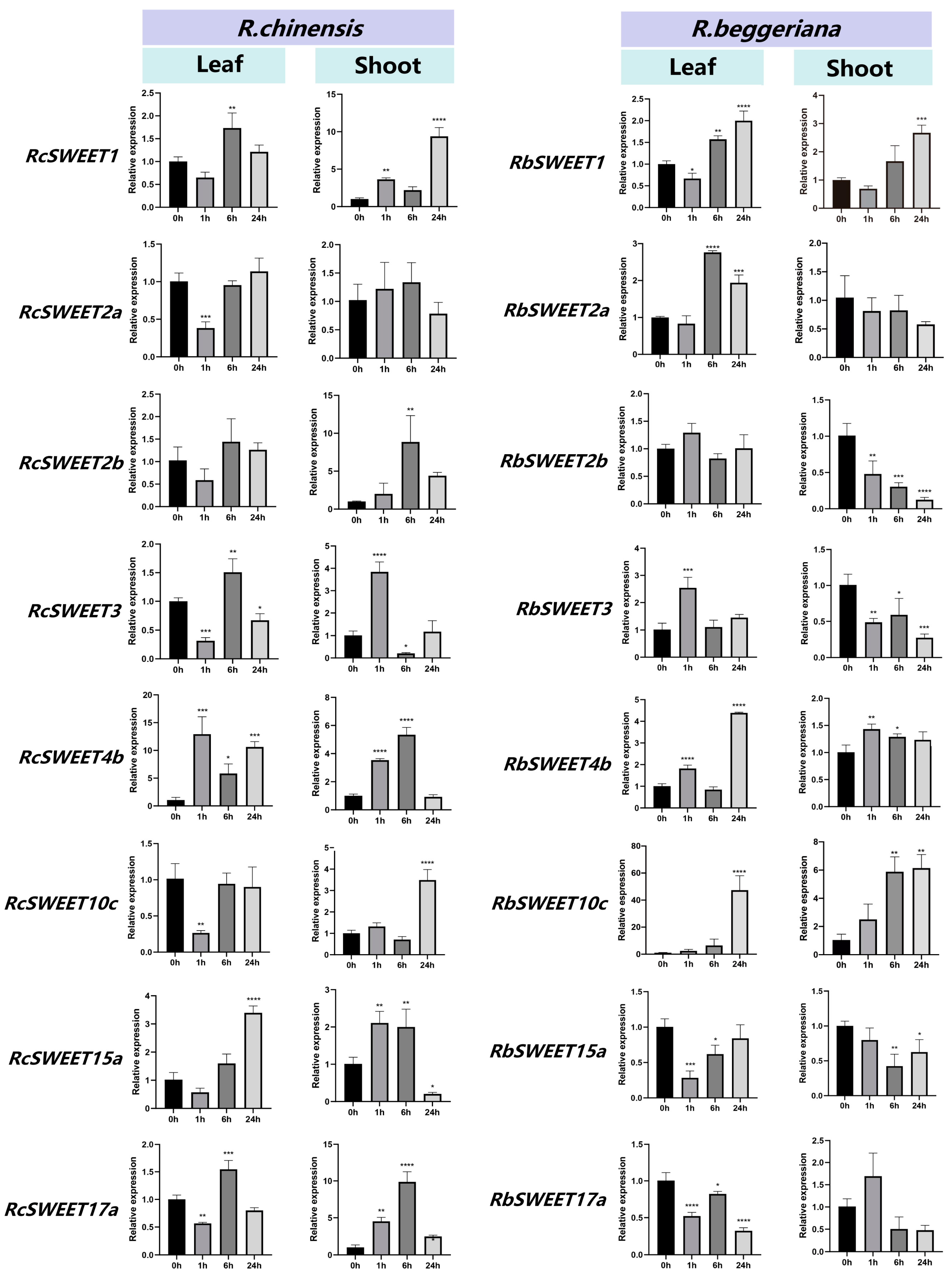 Plants 12 01474 g007