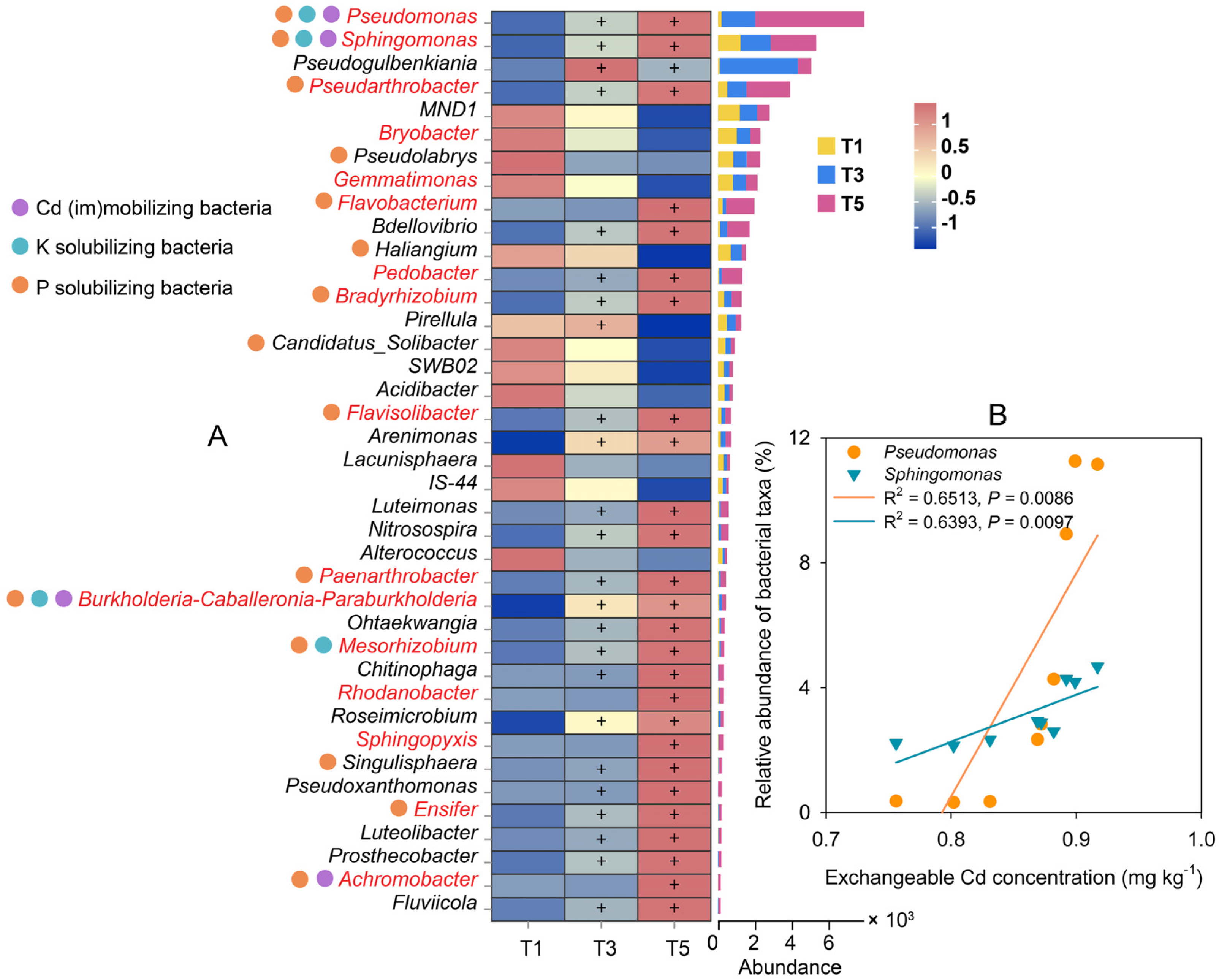 Plants 12 01484 g005 Plants 12 01484 g005
