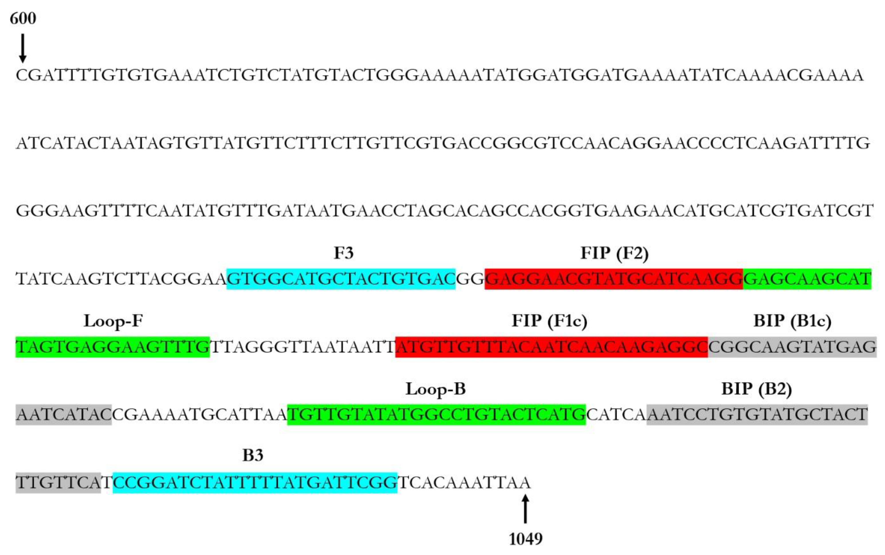 Plants 12 01487 g001 Plants 12 01487 g001