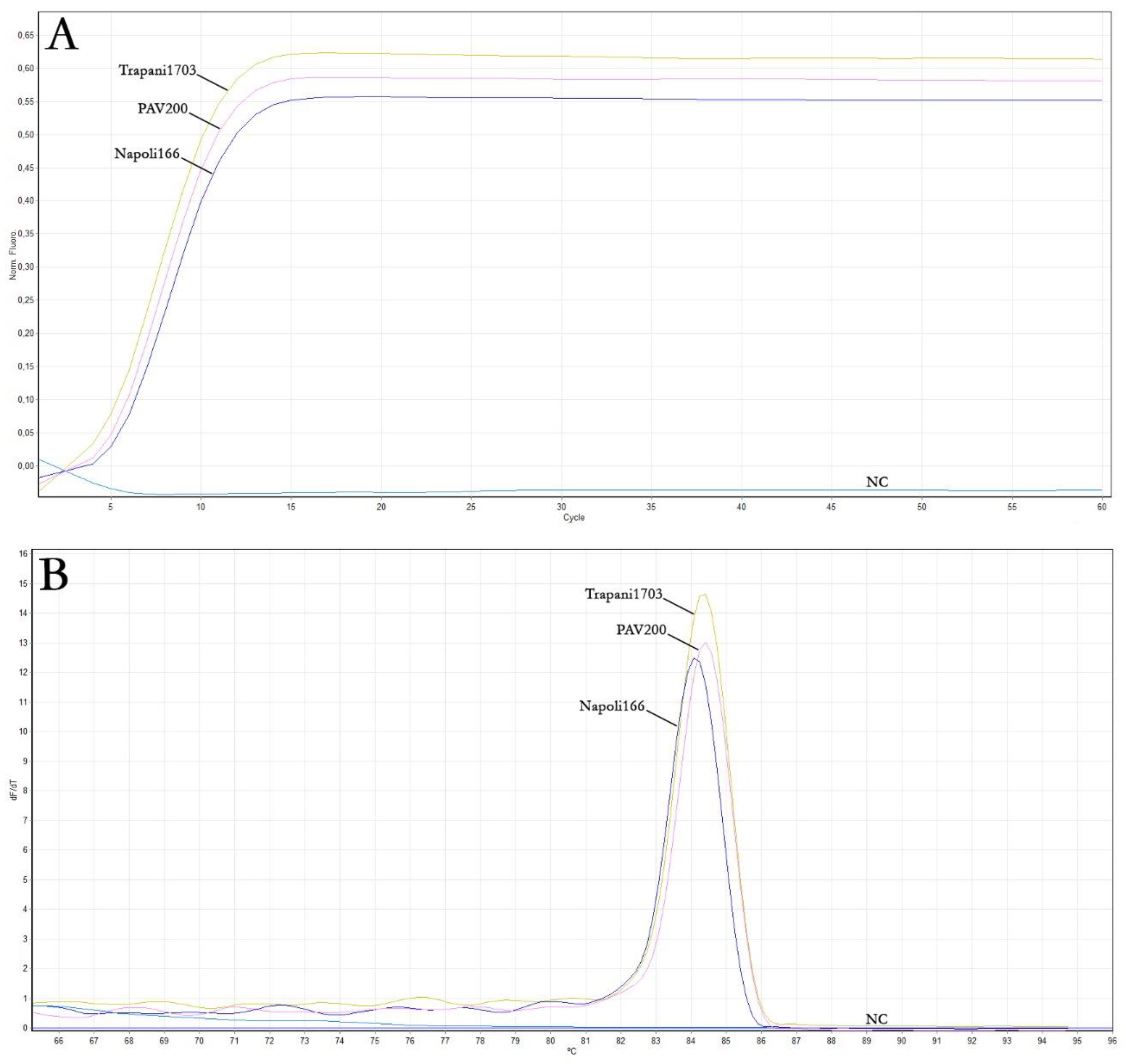 Plants 12 01487 g002 Plants 12 01487 g002