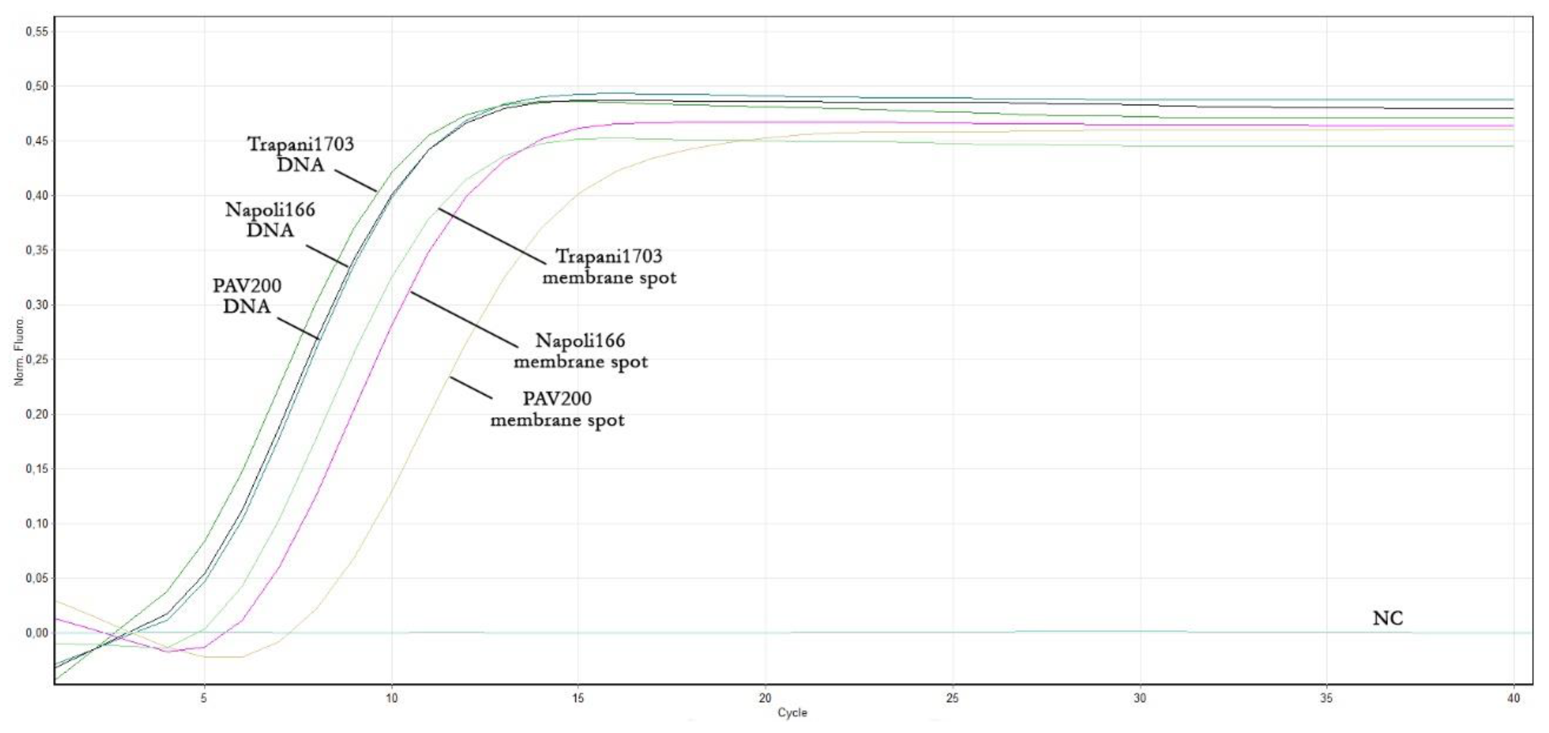 Plants 12 01487 g004 Plants 12 01487 g004