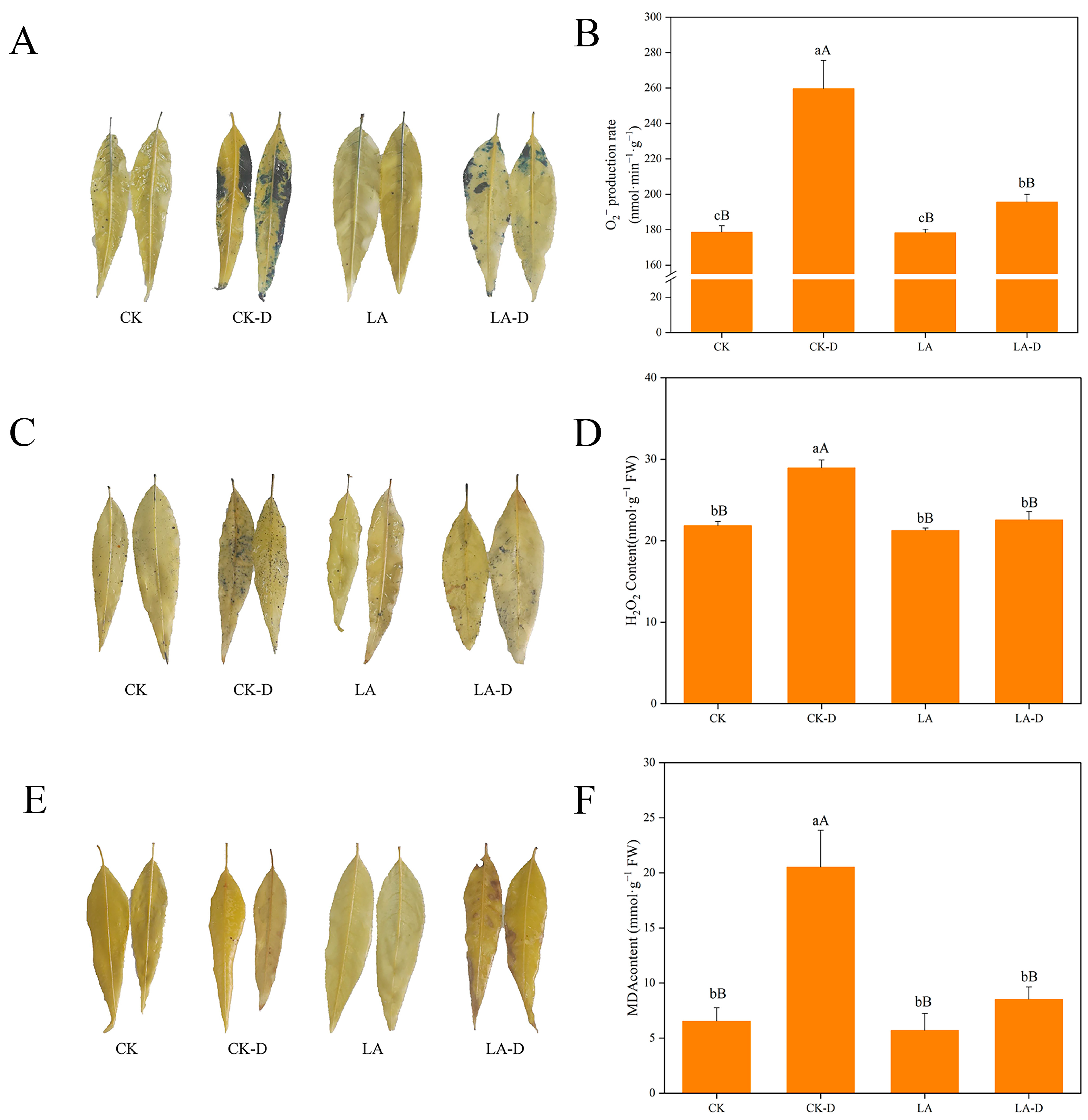 Plants 12 01492 g004 Plants 12 01492 g004
