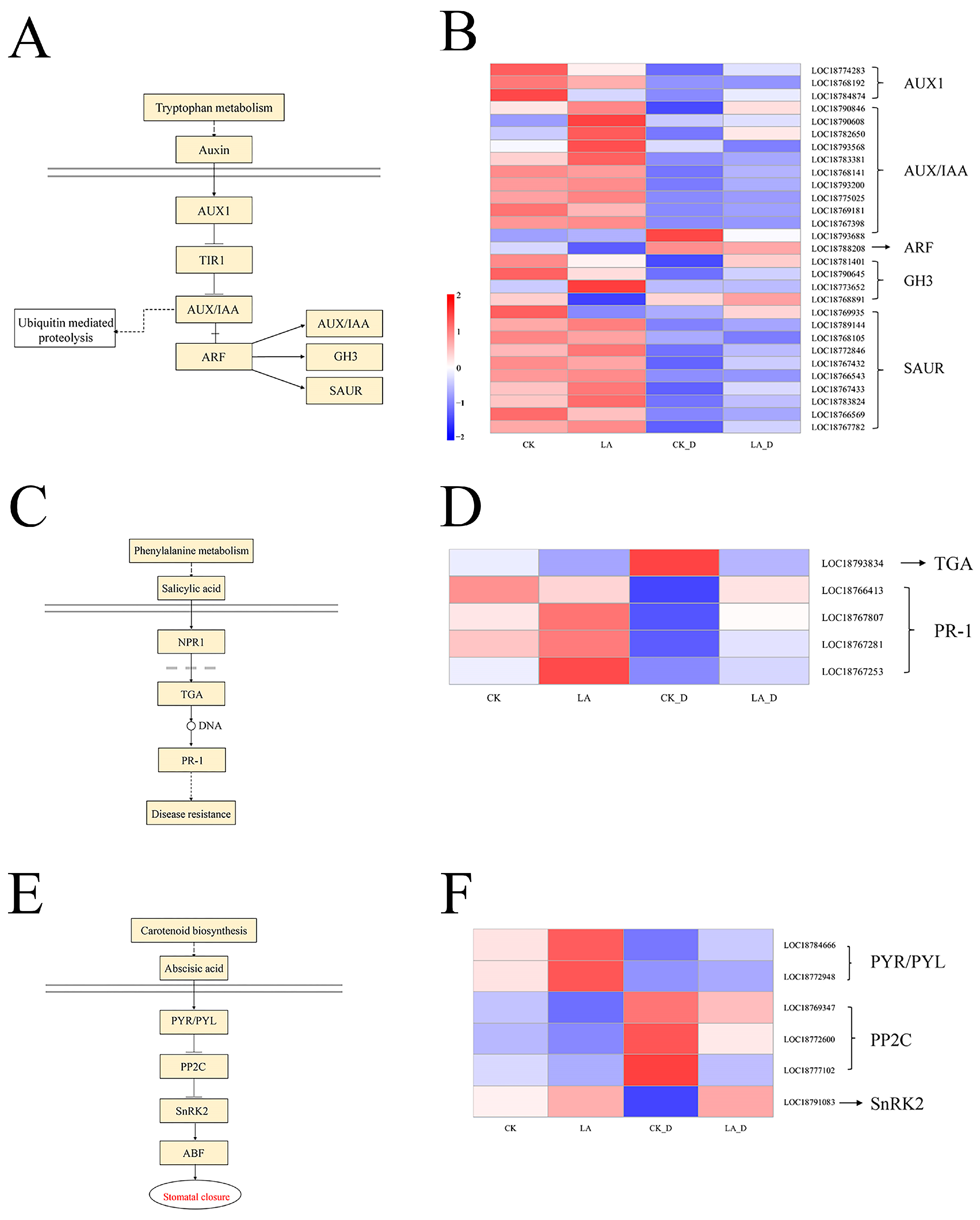 Plants 12 01492 g009 Plants 12 01492 g009