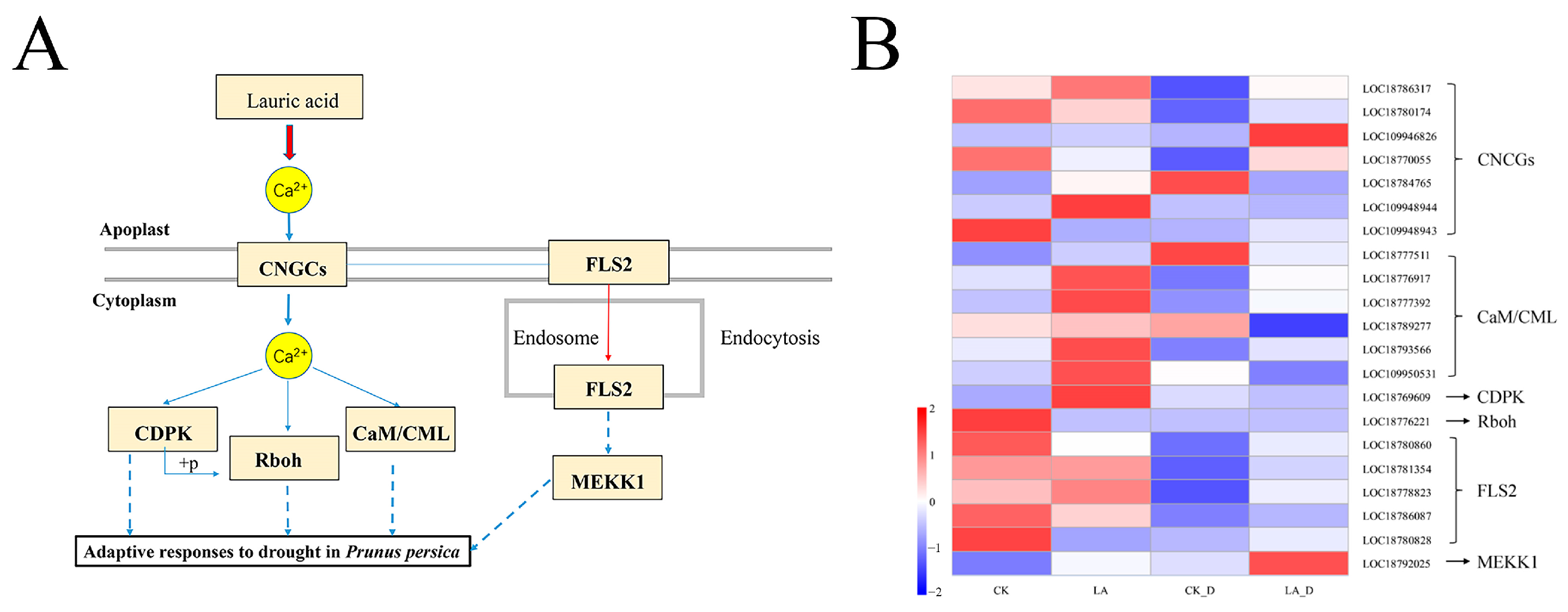 Plants 12 01492 g010 Plants 12 01492 g010