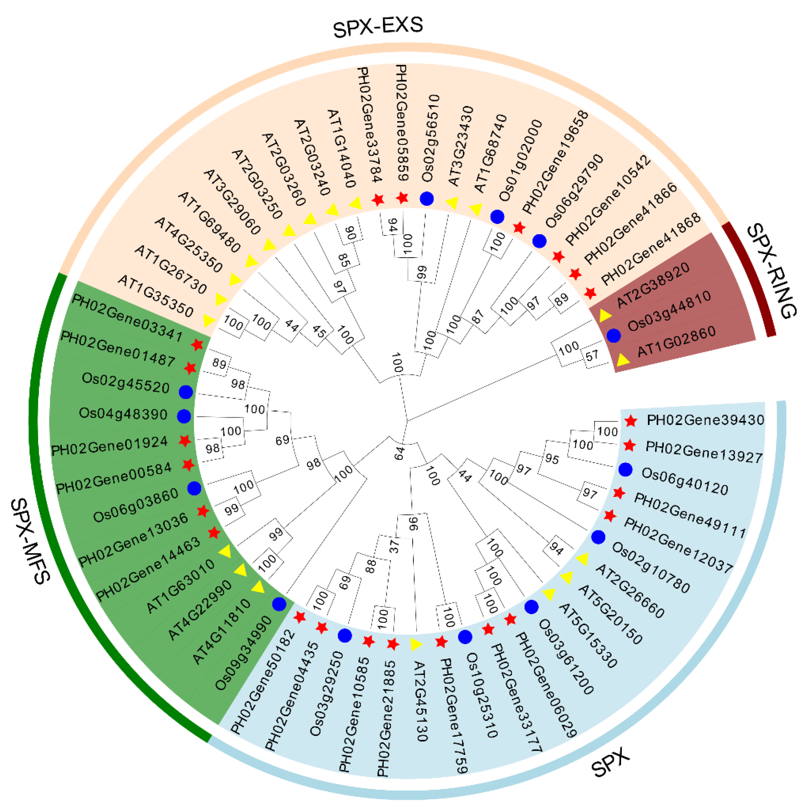 Plants 12 01496 g002