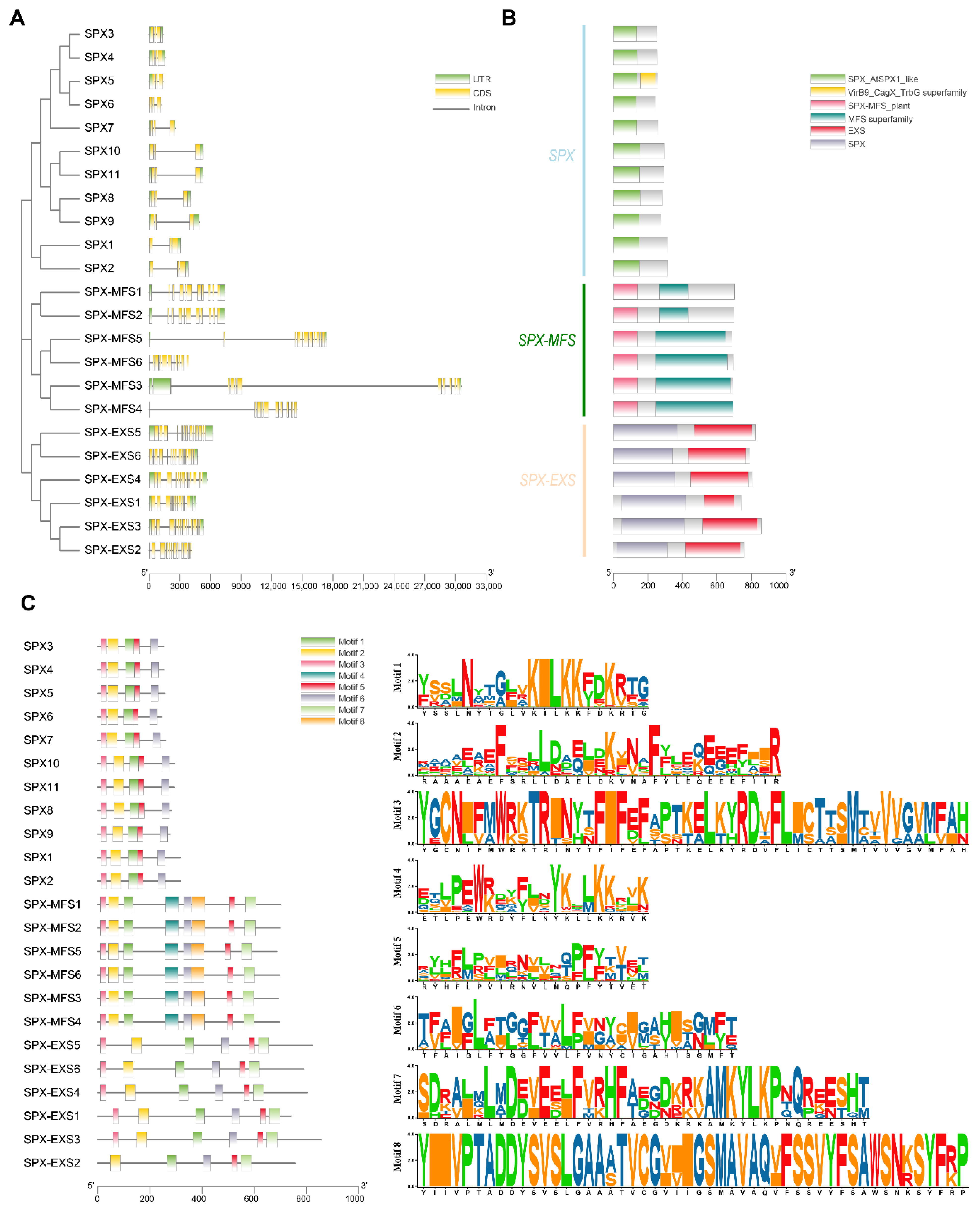 Plants 12 01496 g003
