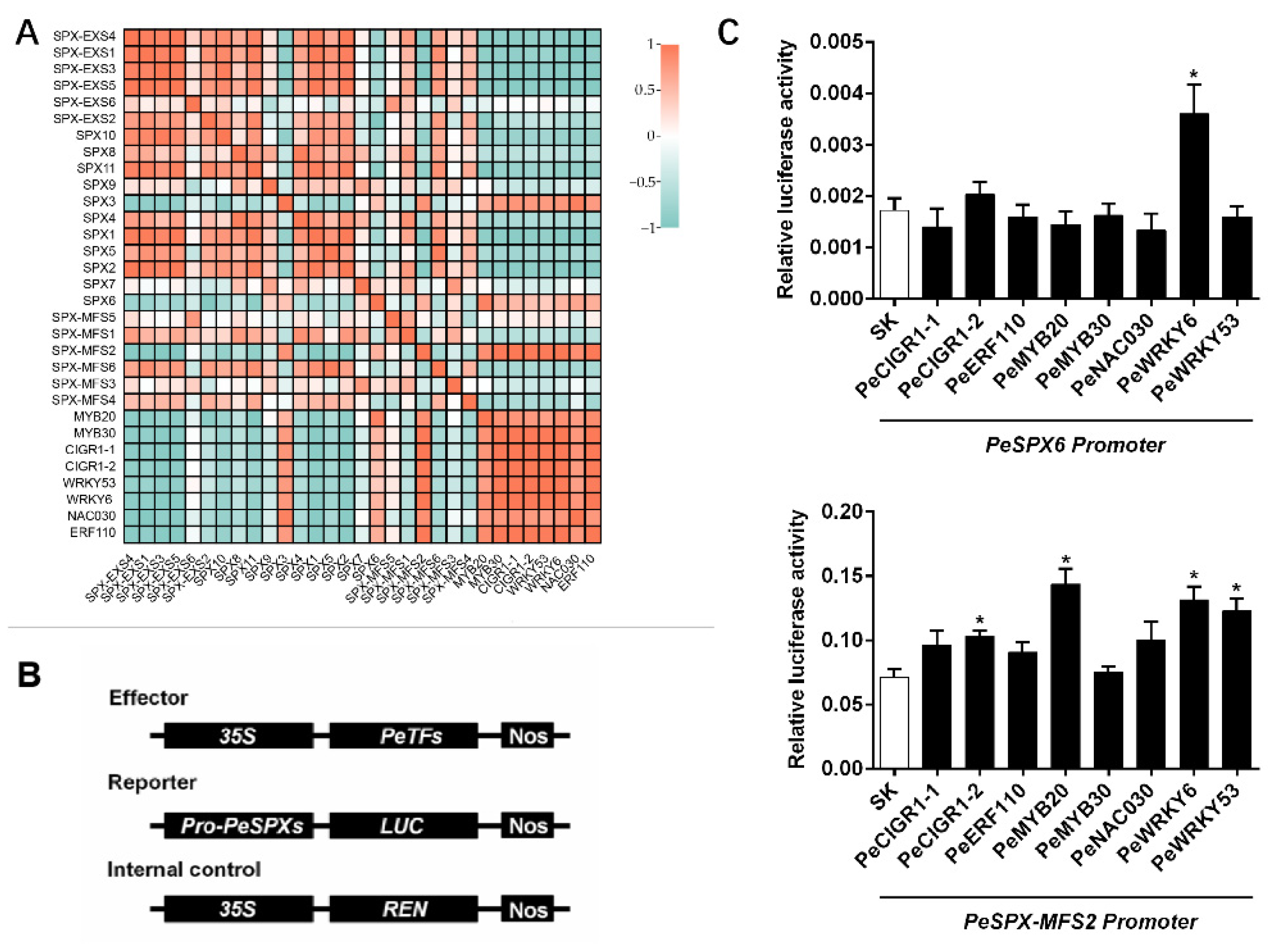 Plants 12 01496 g006