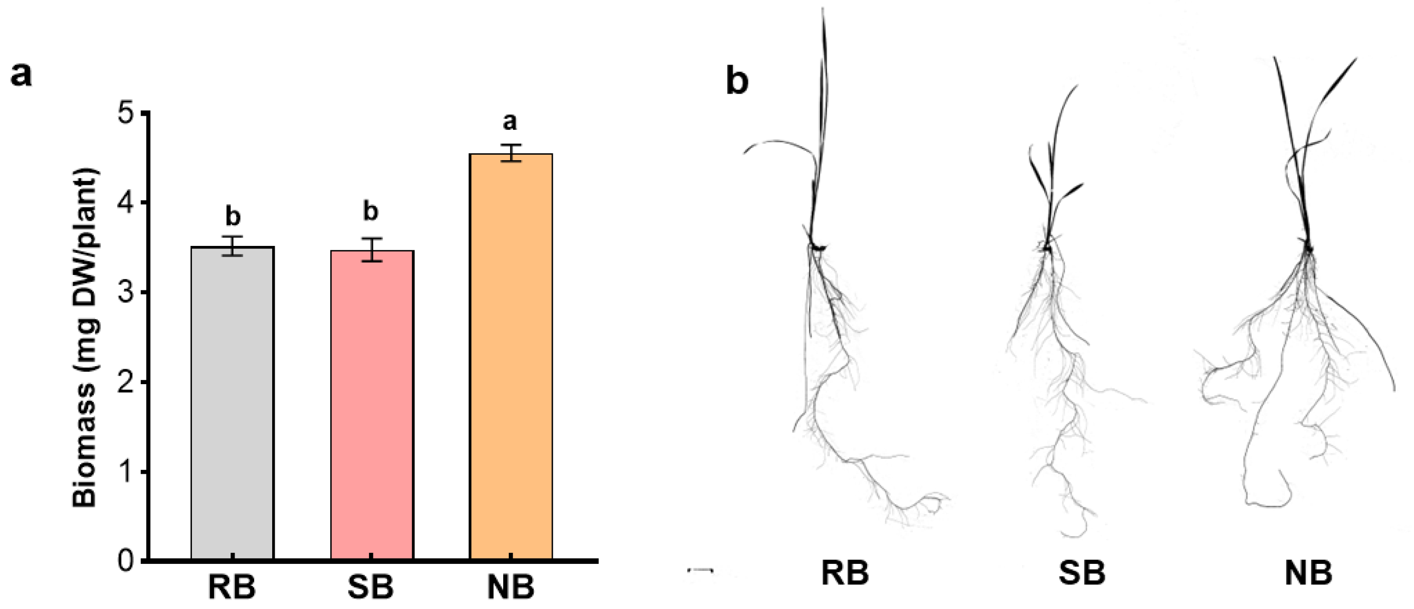 Plants 12 01498 g004